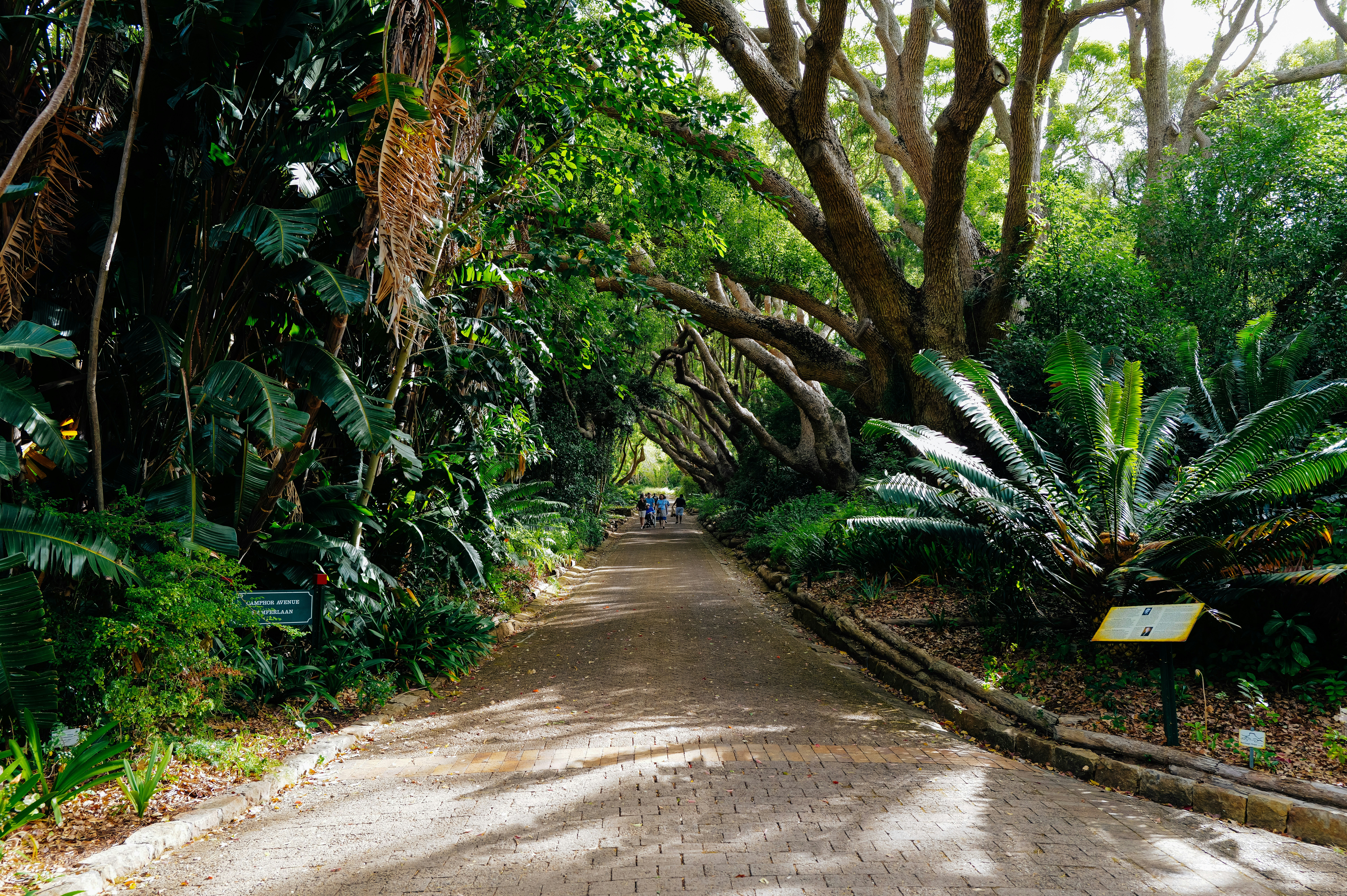 Photo by adrienolichon