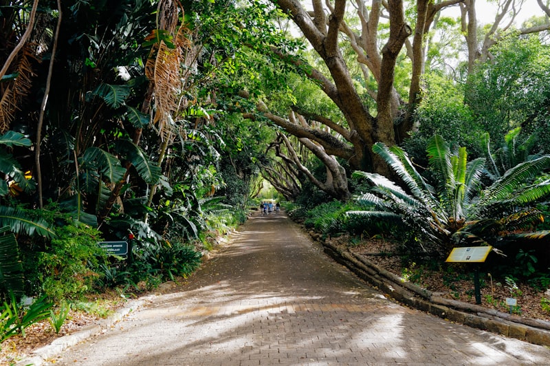 Jardim principal da Vila Horizonte
