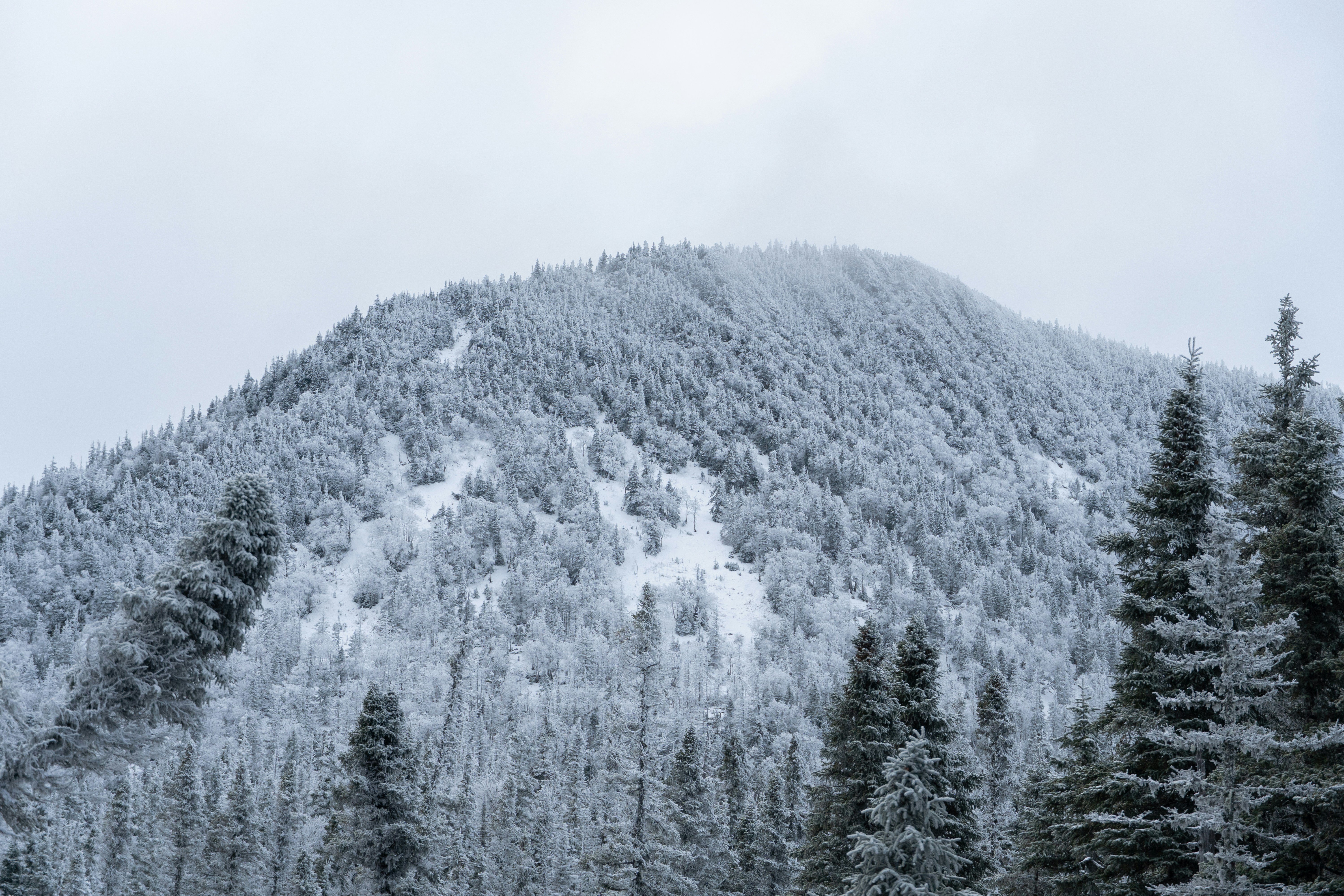 Photo by tog_photography