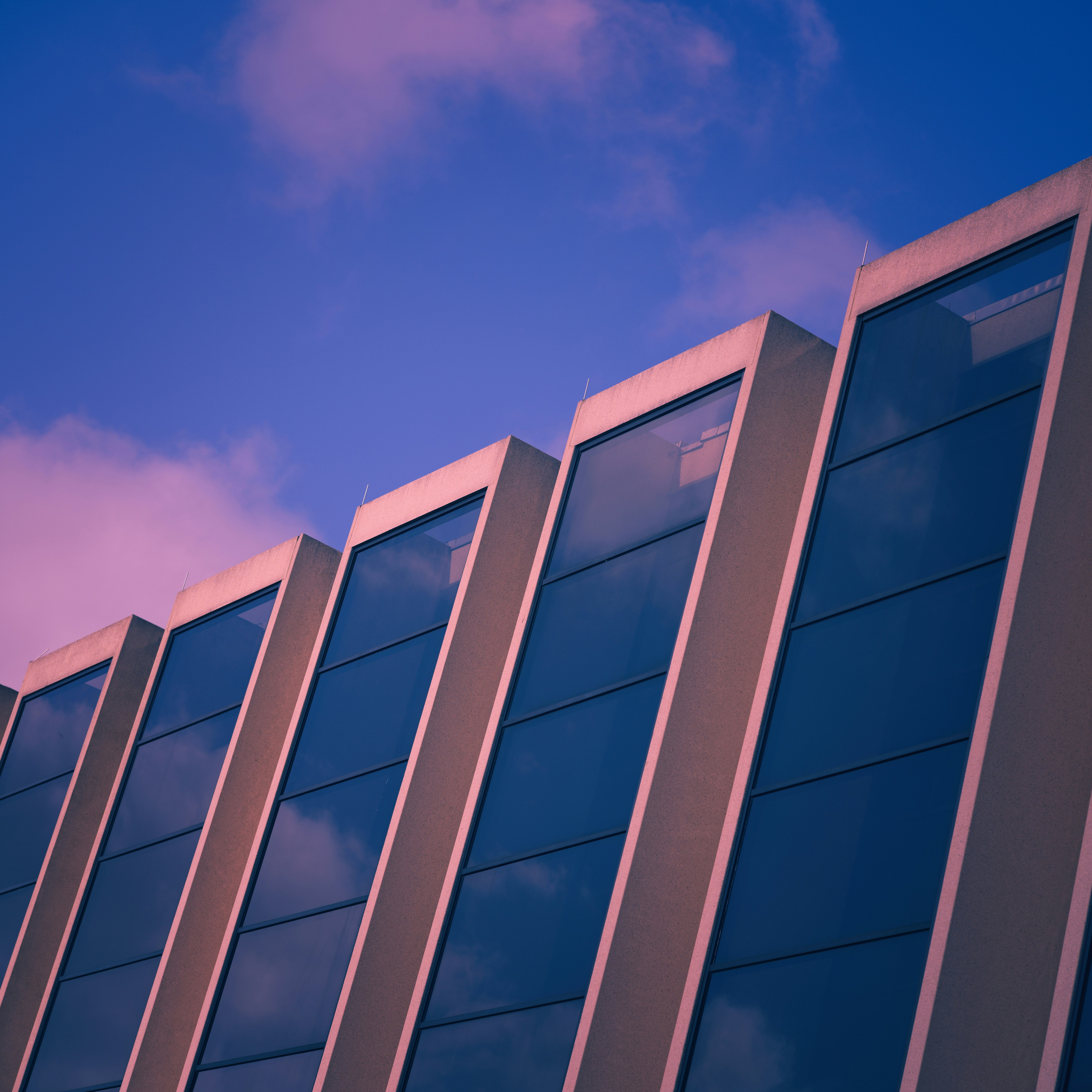 Photo by thephotochad