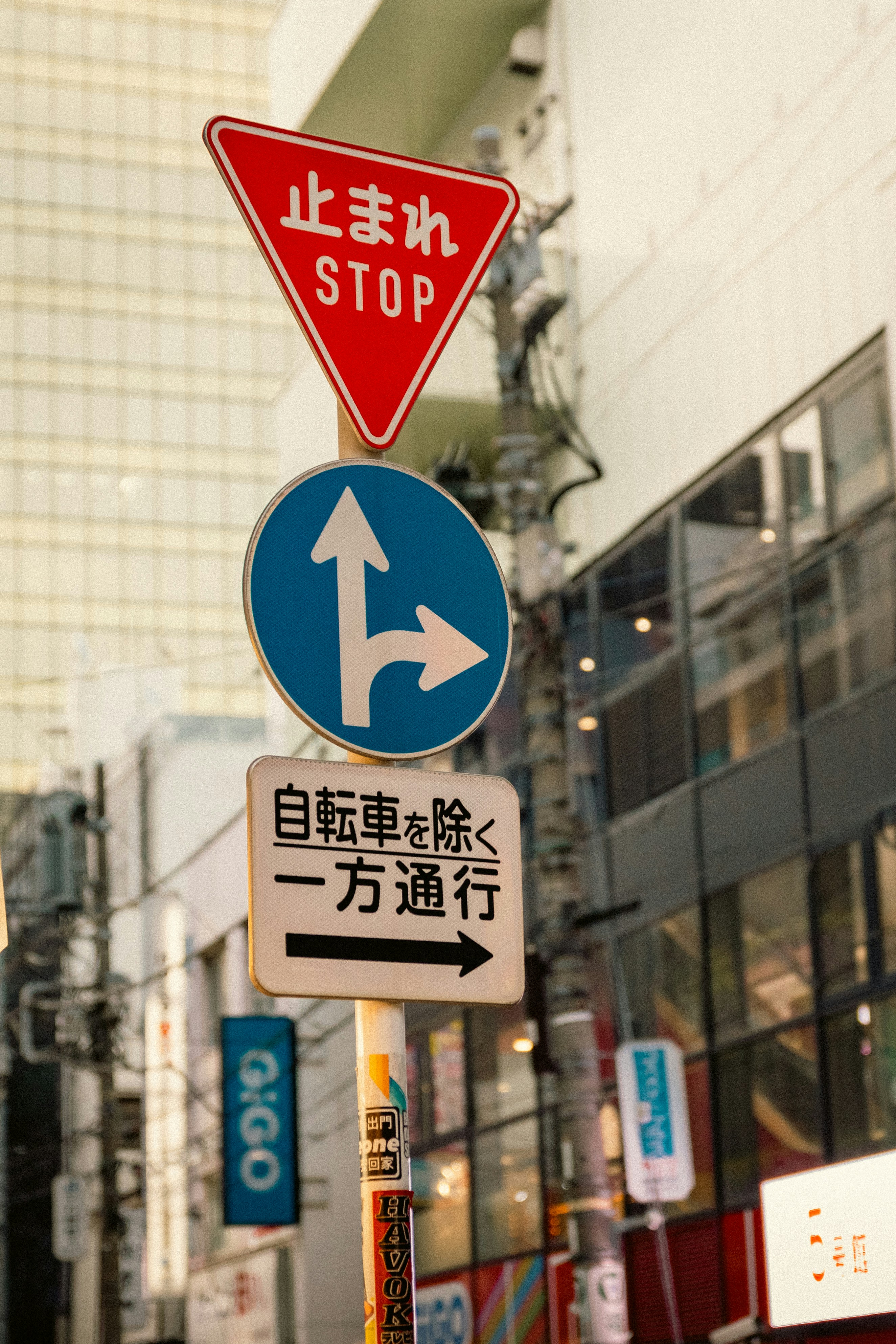 Photo by shoham_avisrur