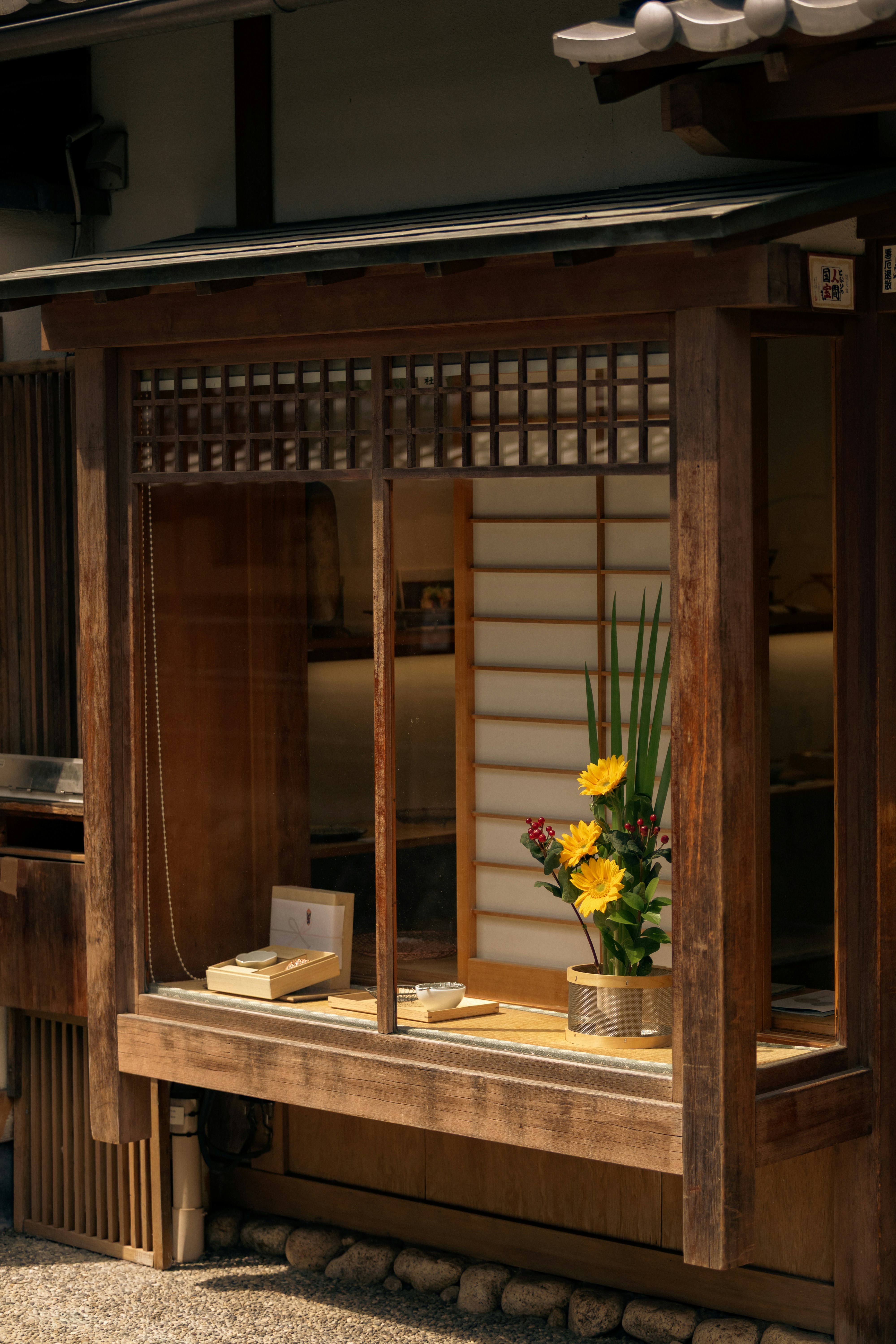 Photo by shoham_avisrur