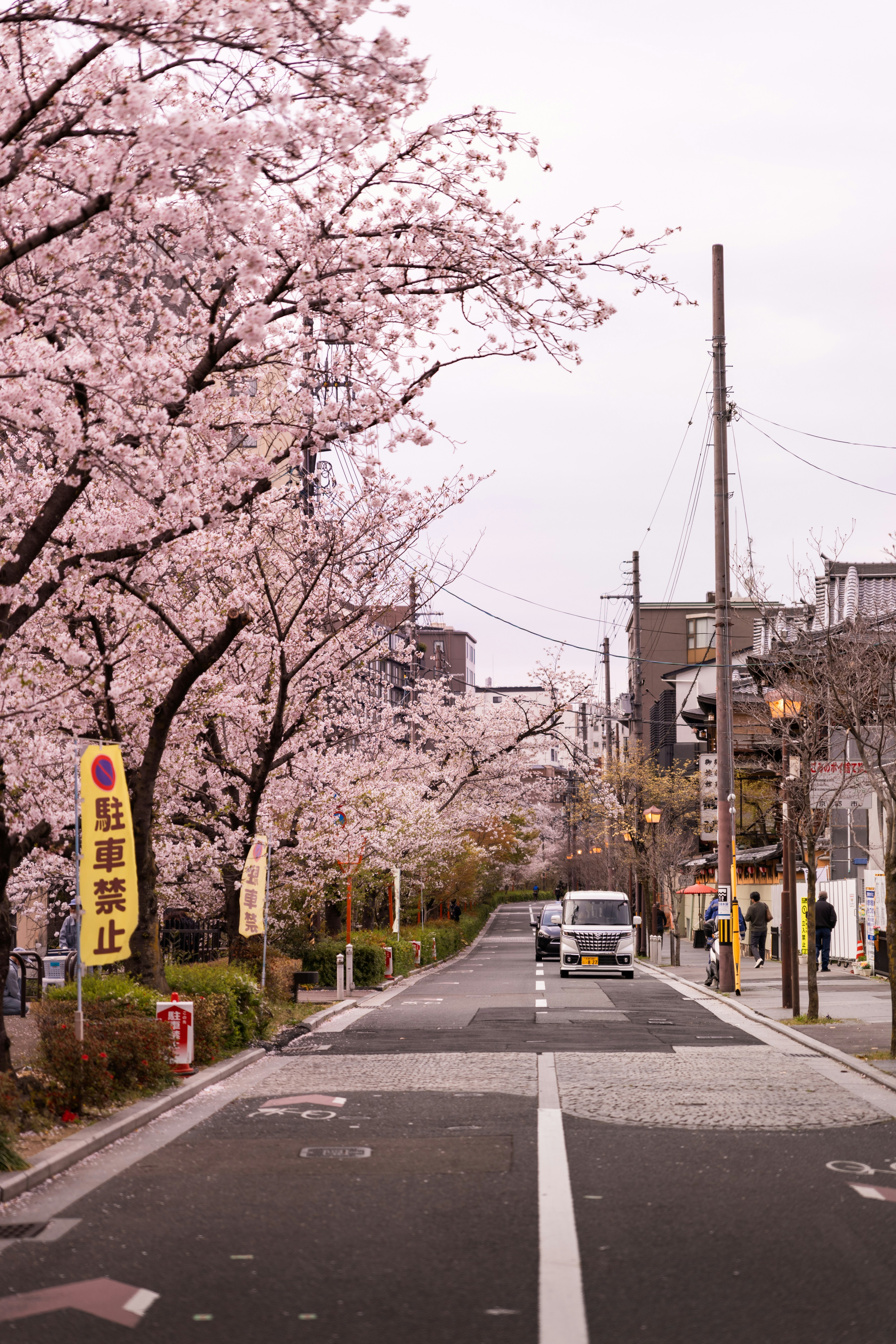 Photo by shoham_avisrur