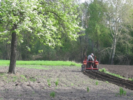Semoir de Précision 12 Rangs