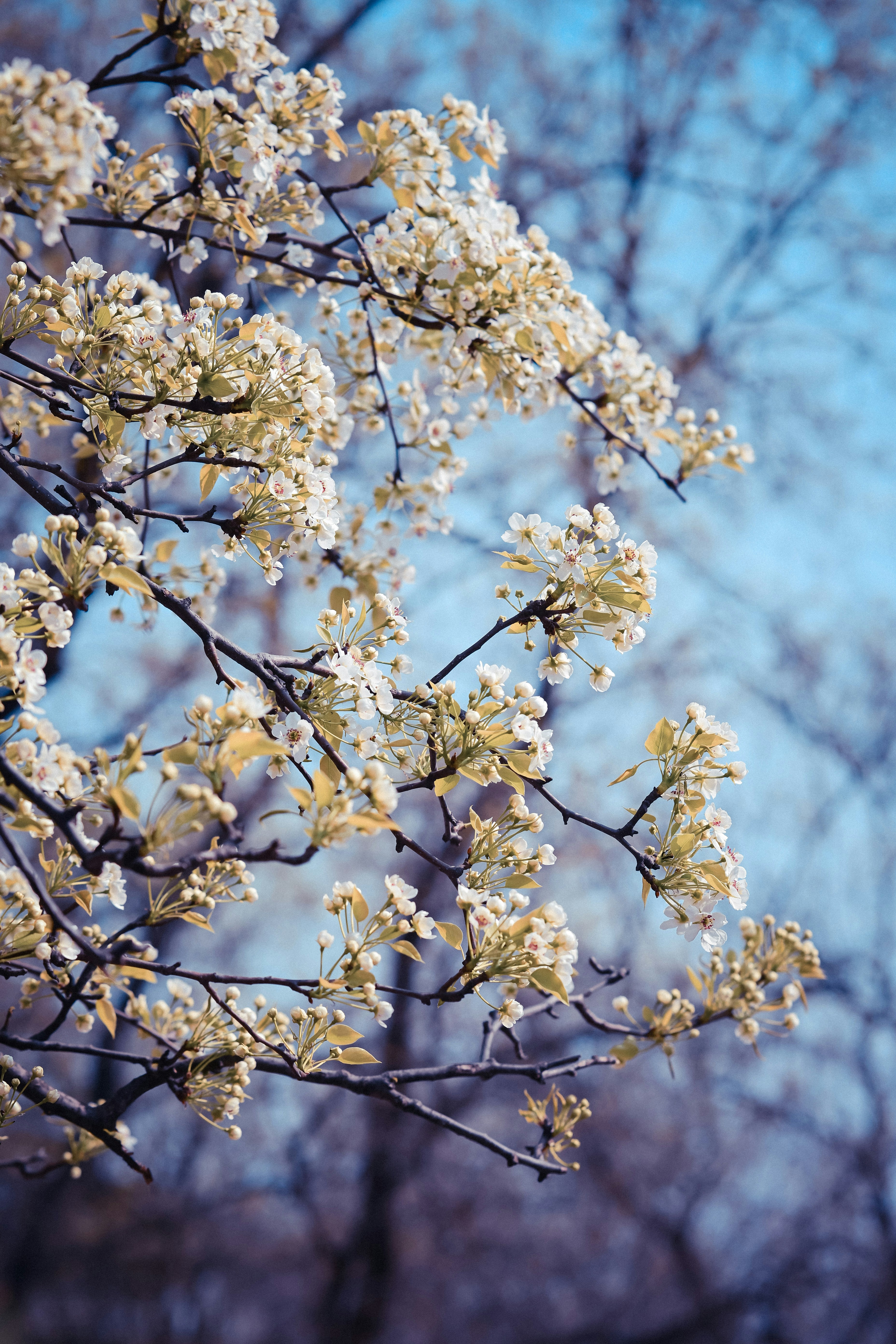 Photo by soujest