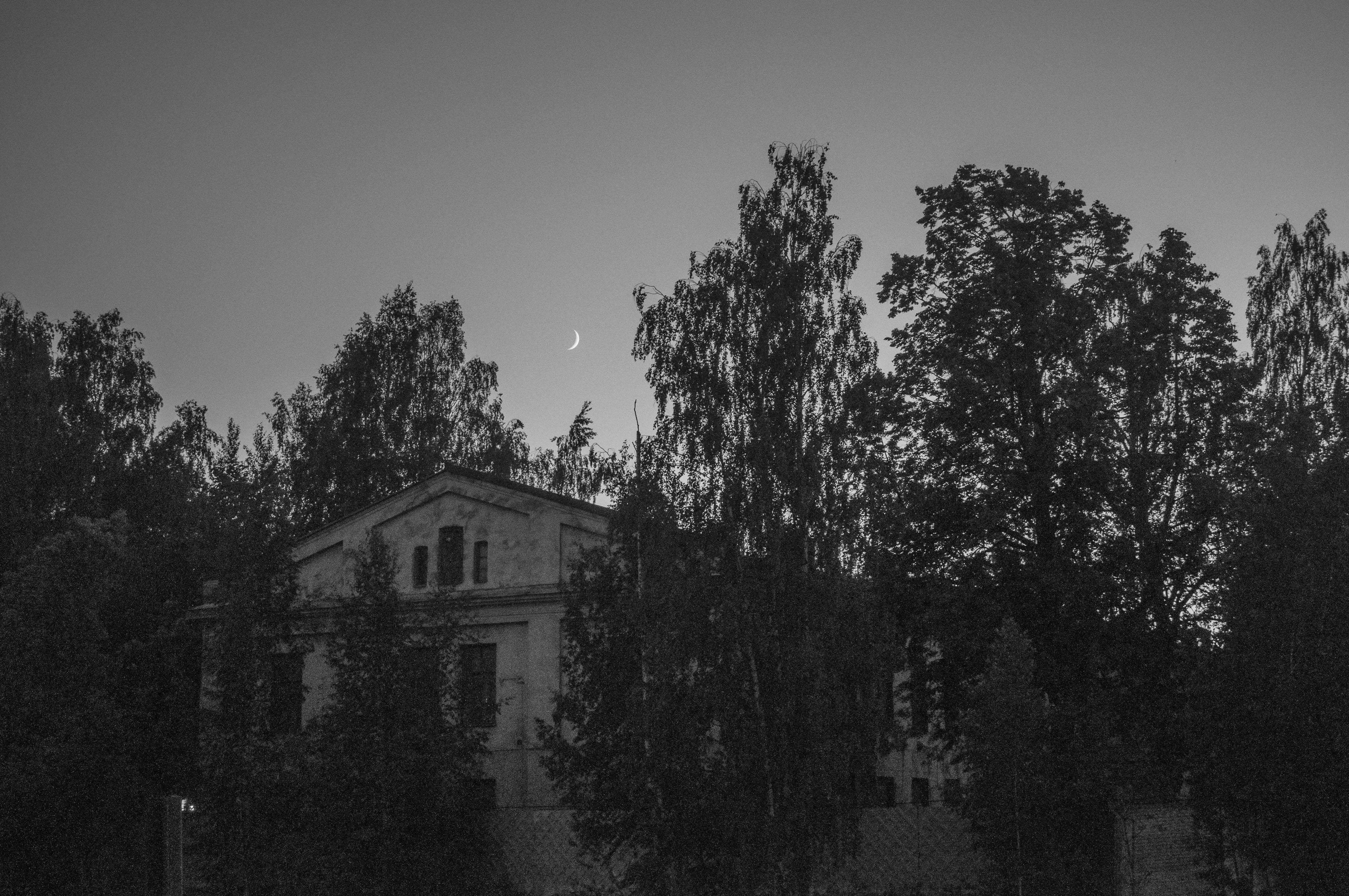 Photo by pixelesse