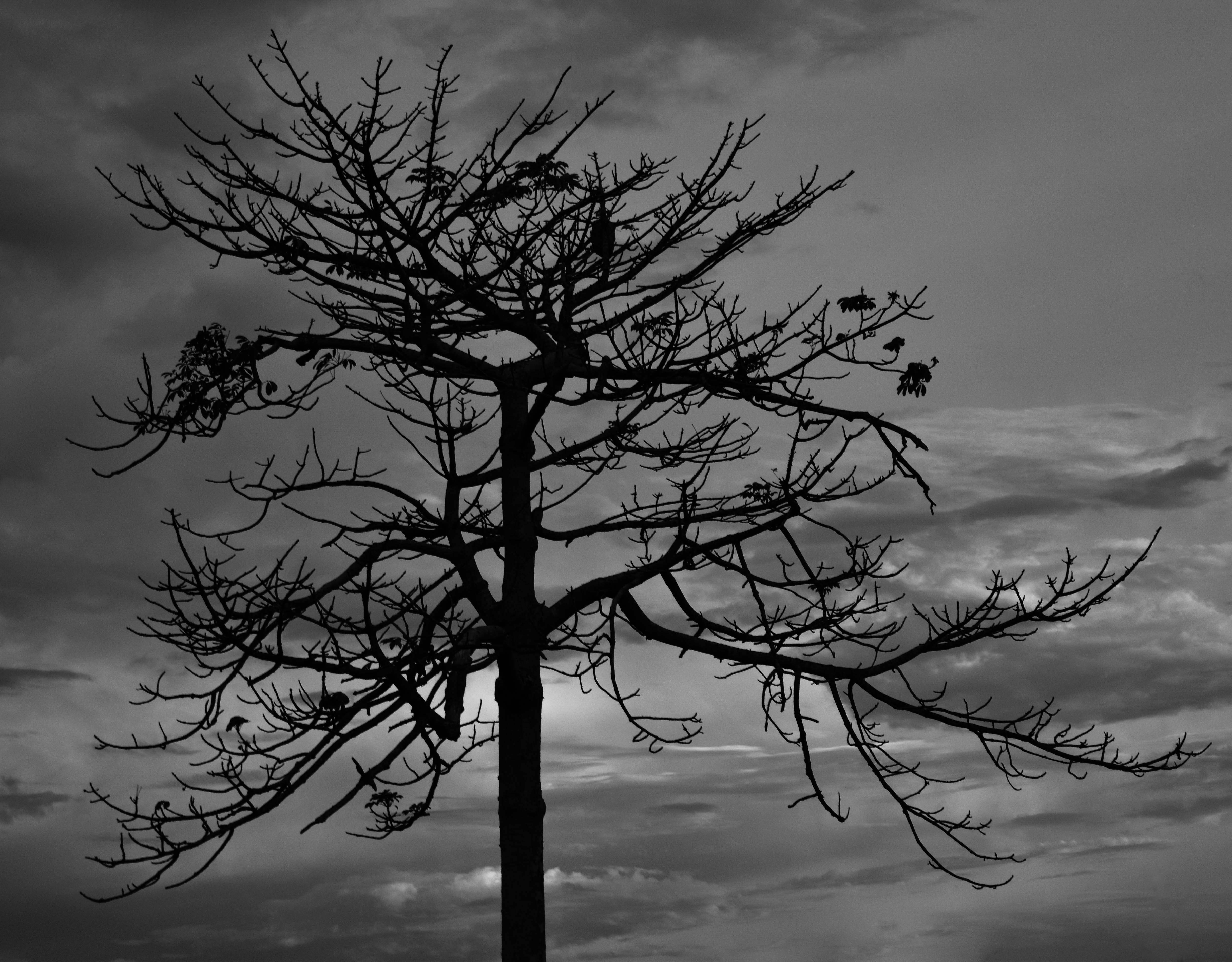Photo by uyaiabasi