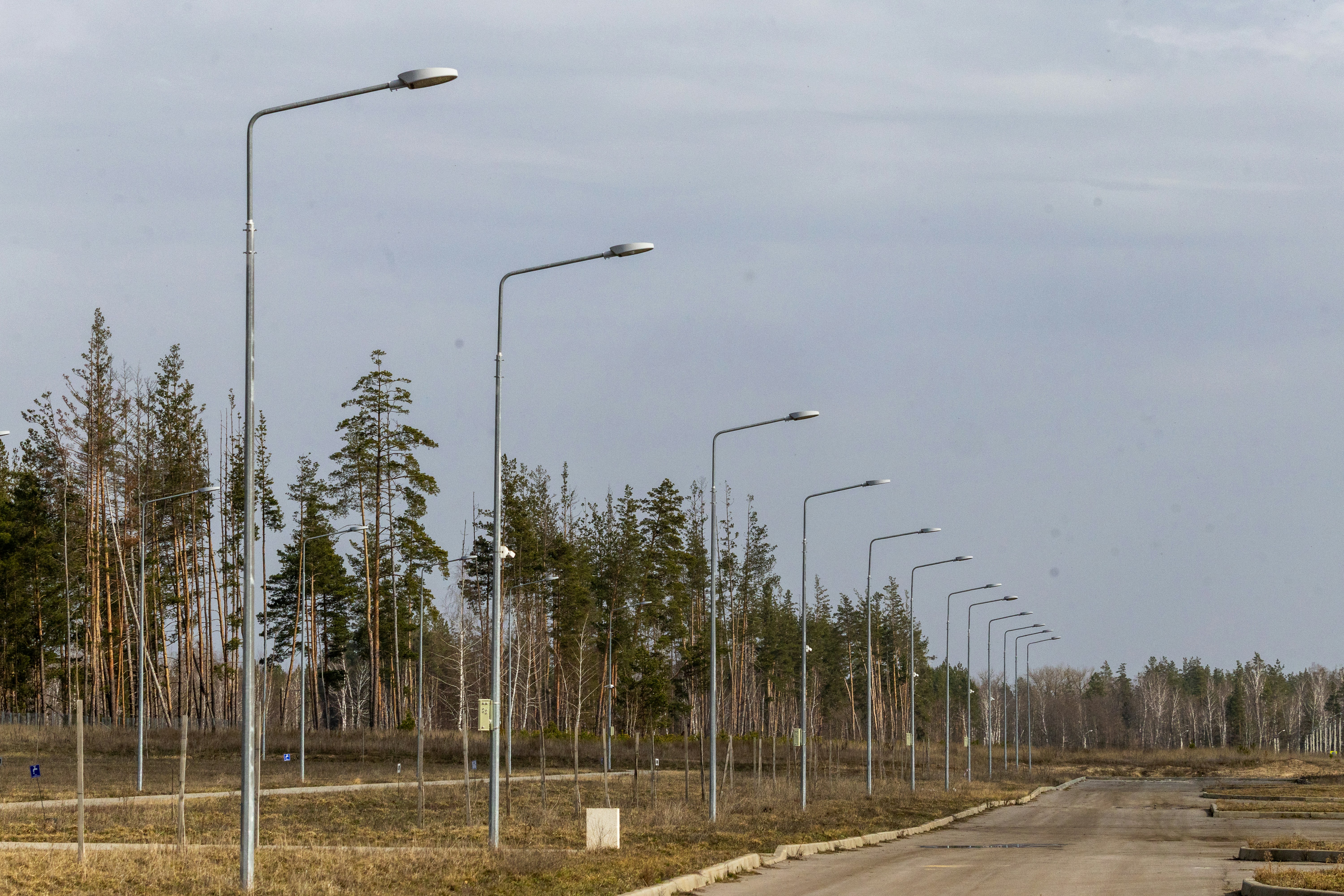 Straßenlaternen säumen eine Landstraße mit Bäumen im Hintergrund