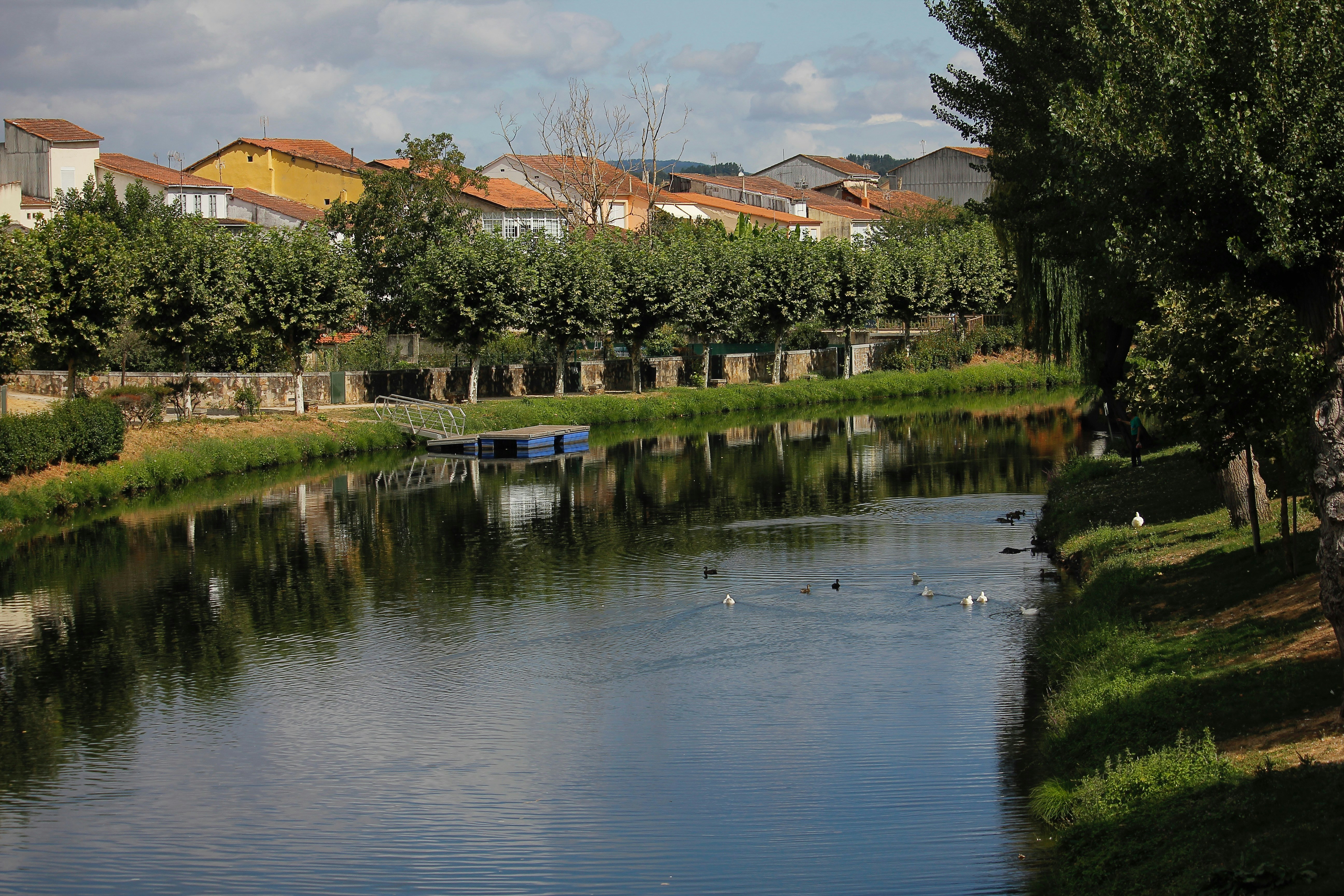 Mocassins de Camurça