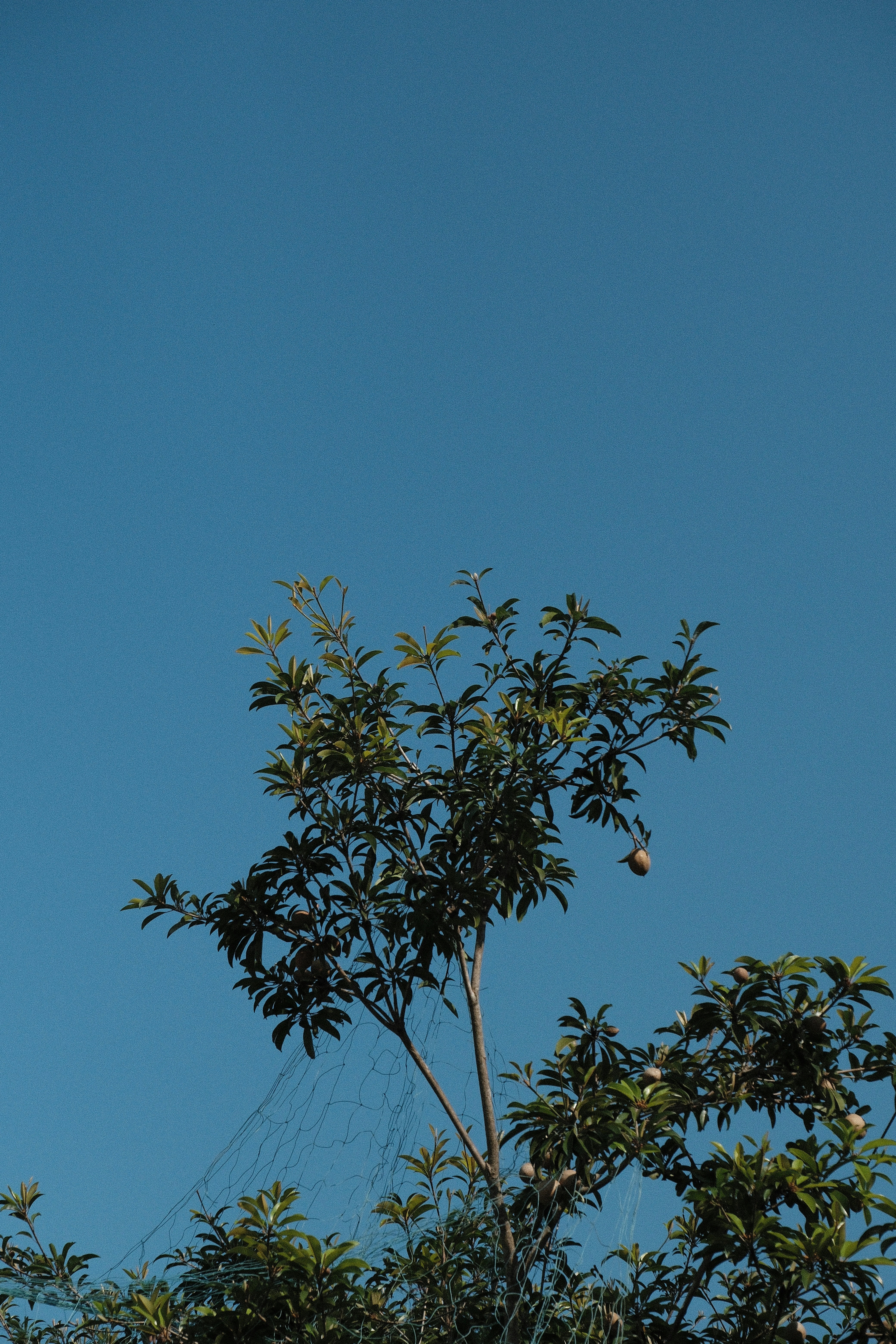 Photo by allensamthomas