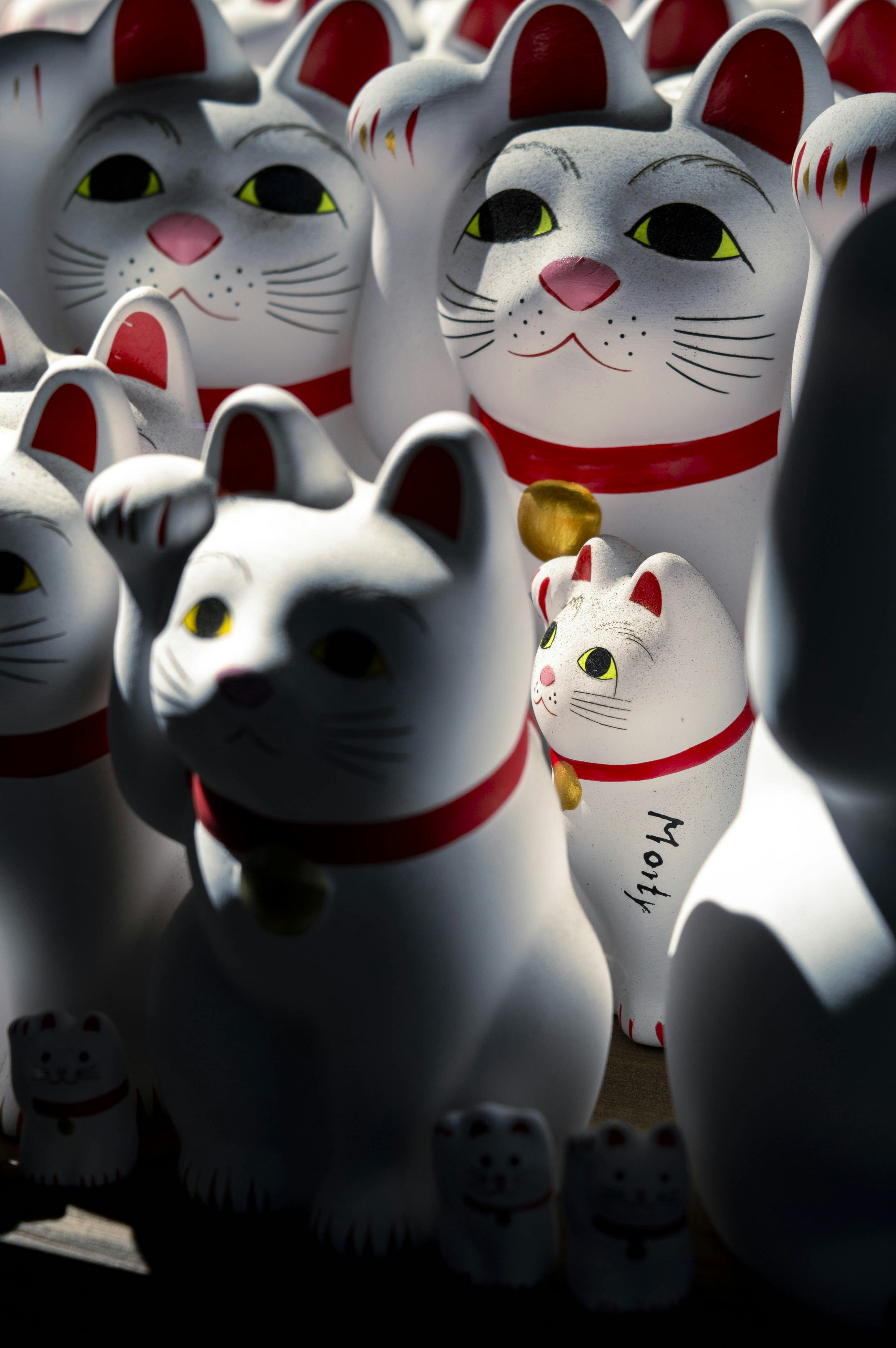 Viele weiße Maneki-Neko-Glückskatzenfiguren zusammen ausgestellt