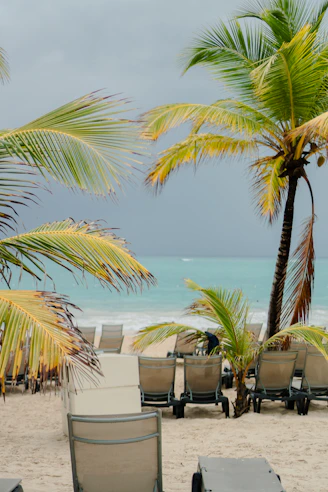 Empty beach chairs under palm trees on a cloudy day