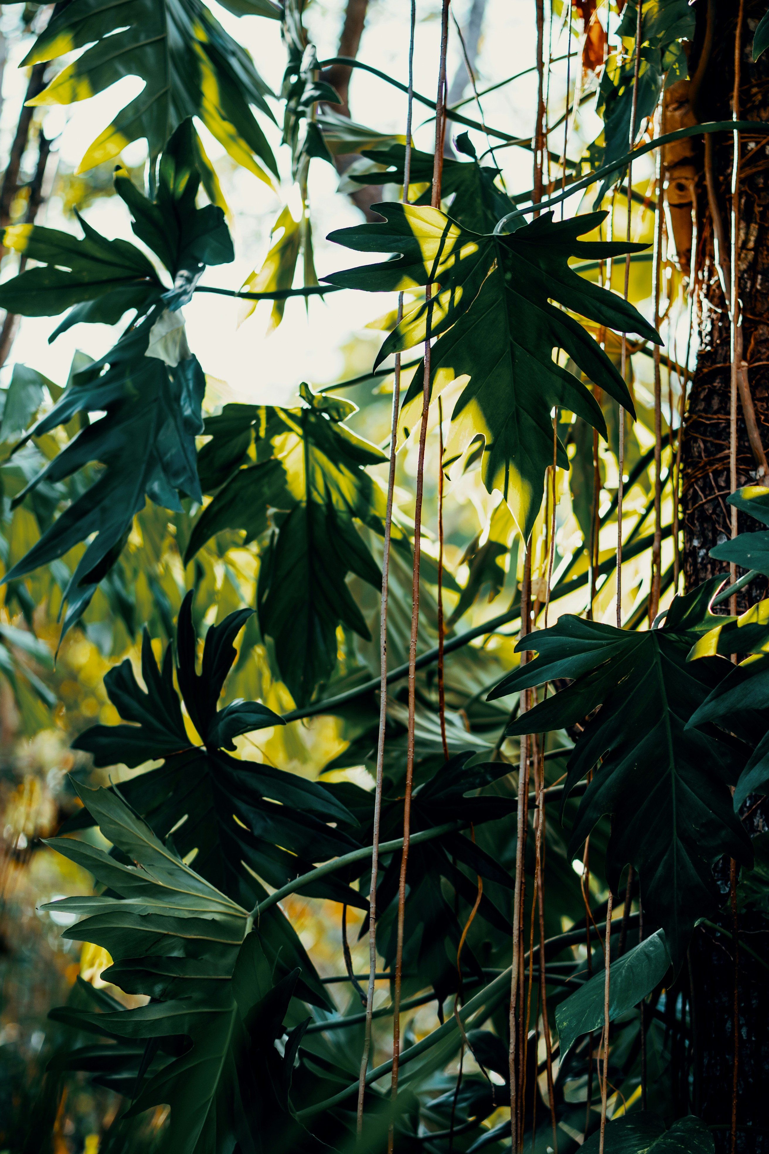 Photo by jensencaptures