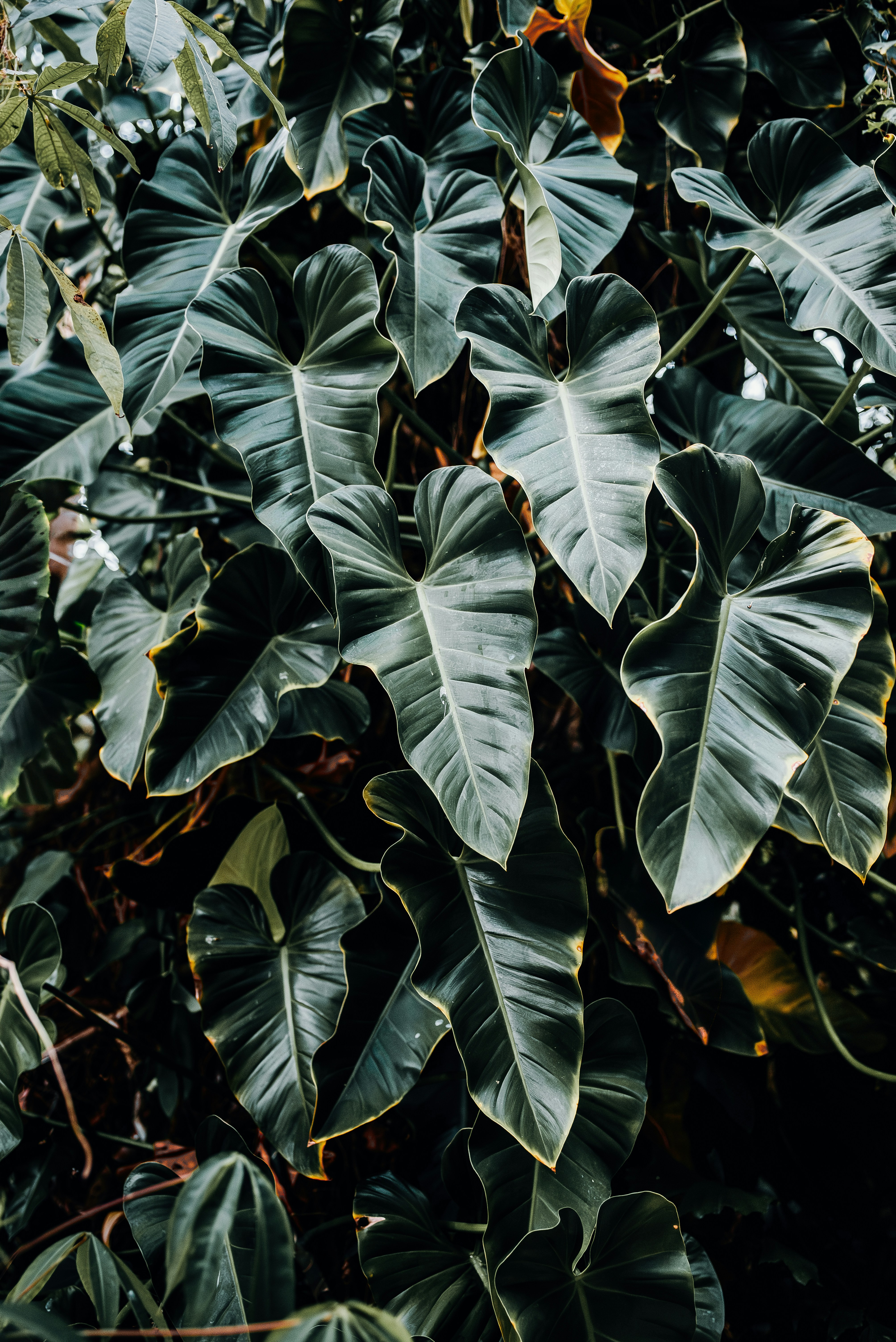 Photo by jensencaptures