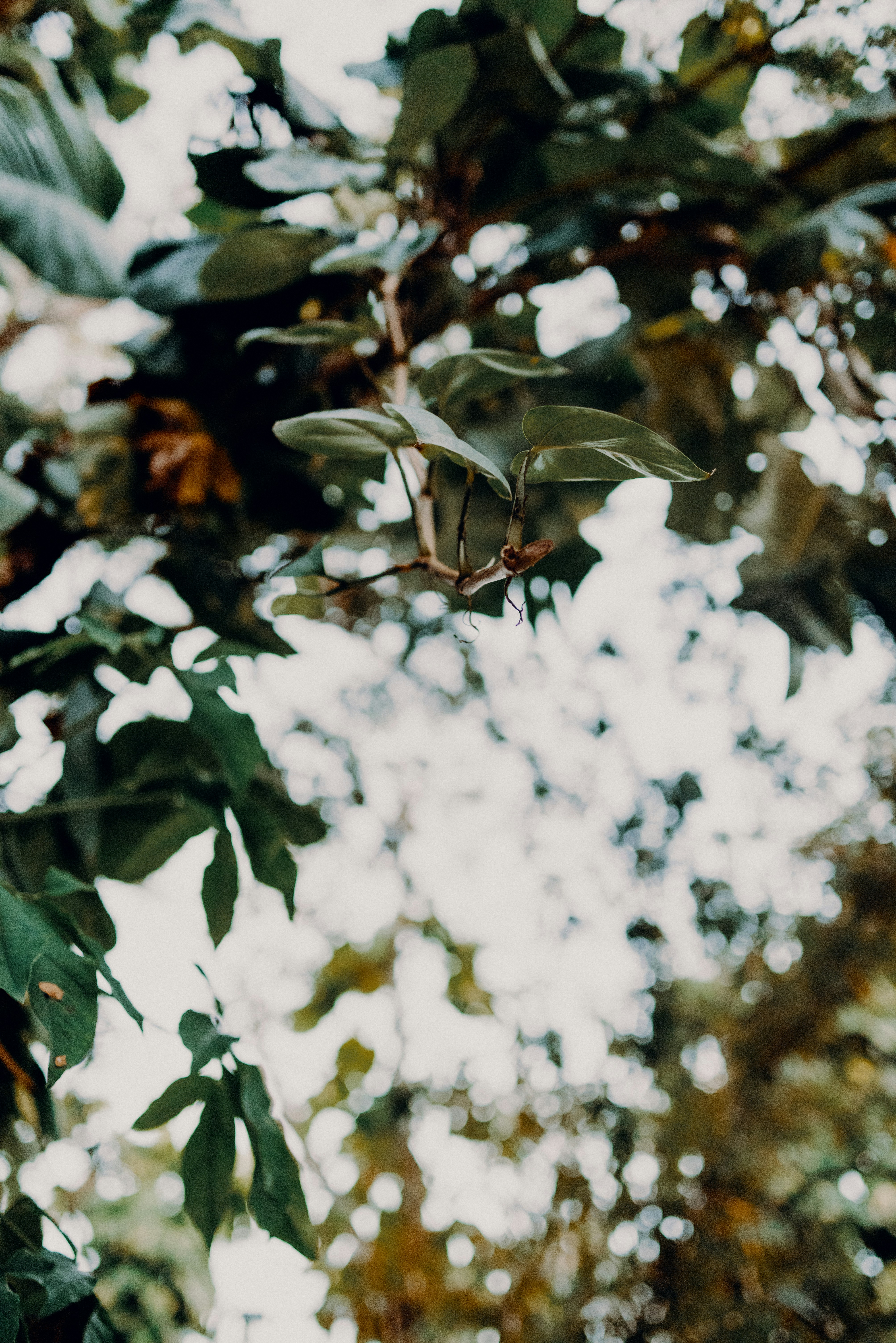 Photo by jensencaptures