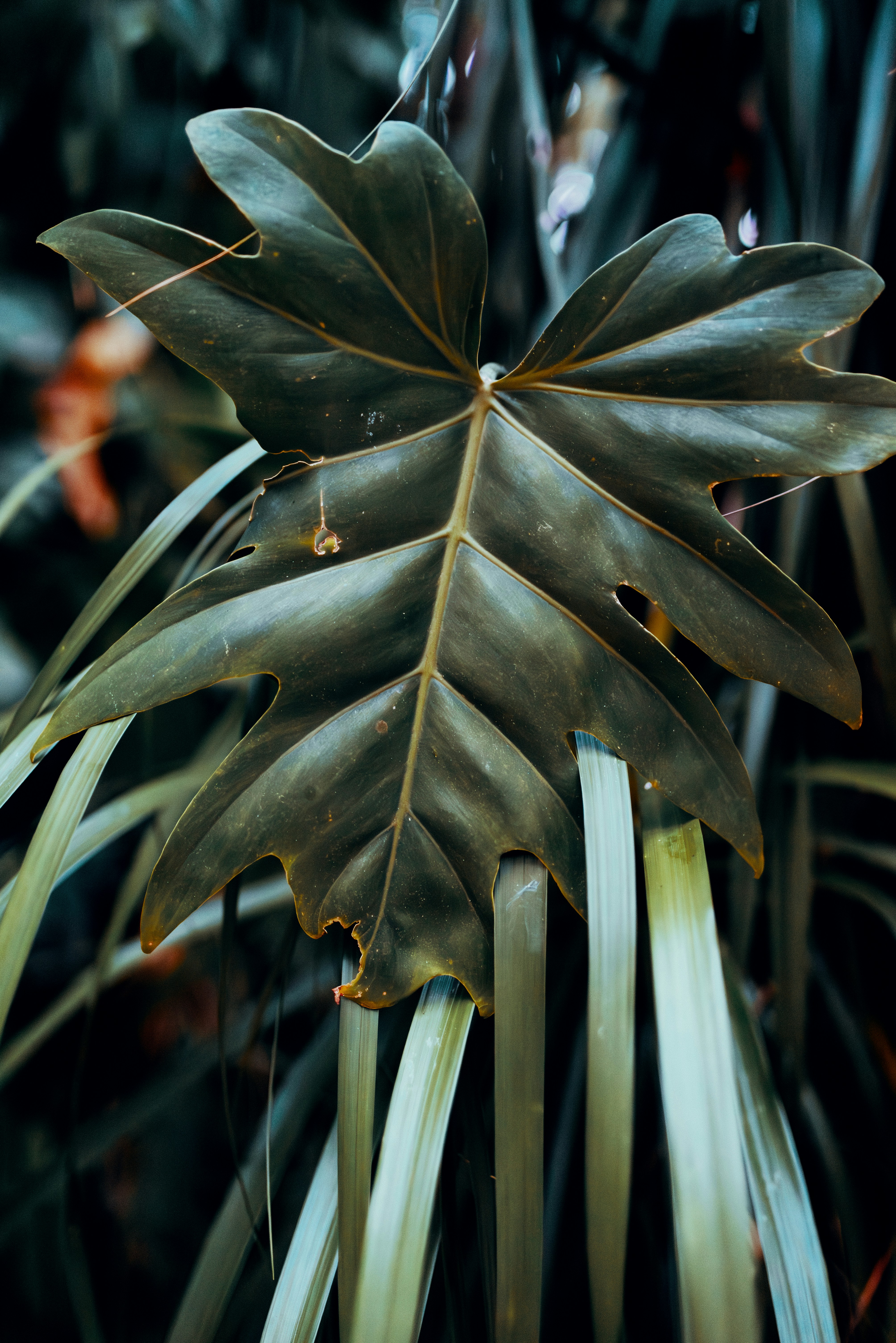 Photo by jensencaptures