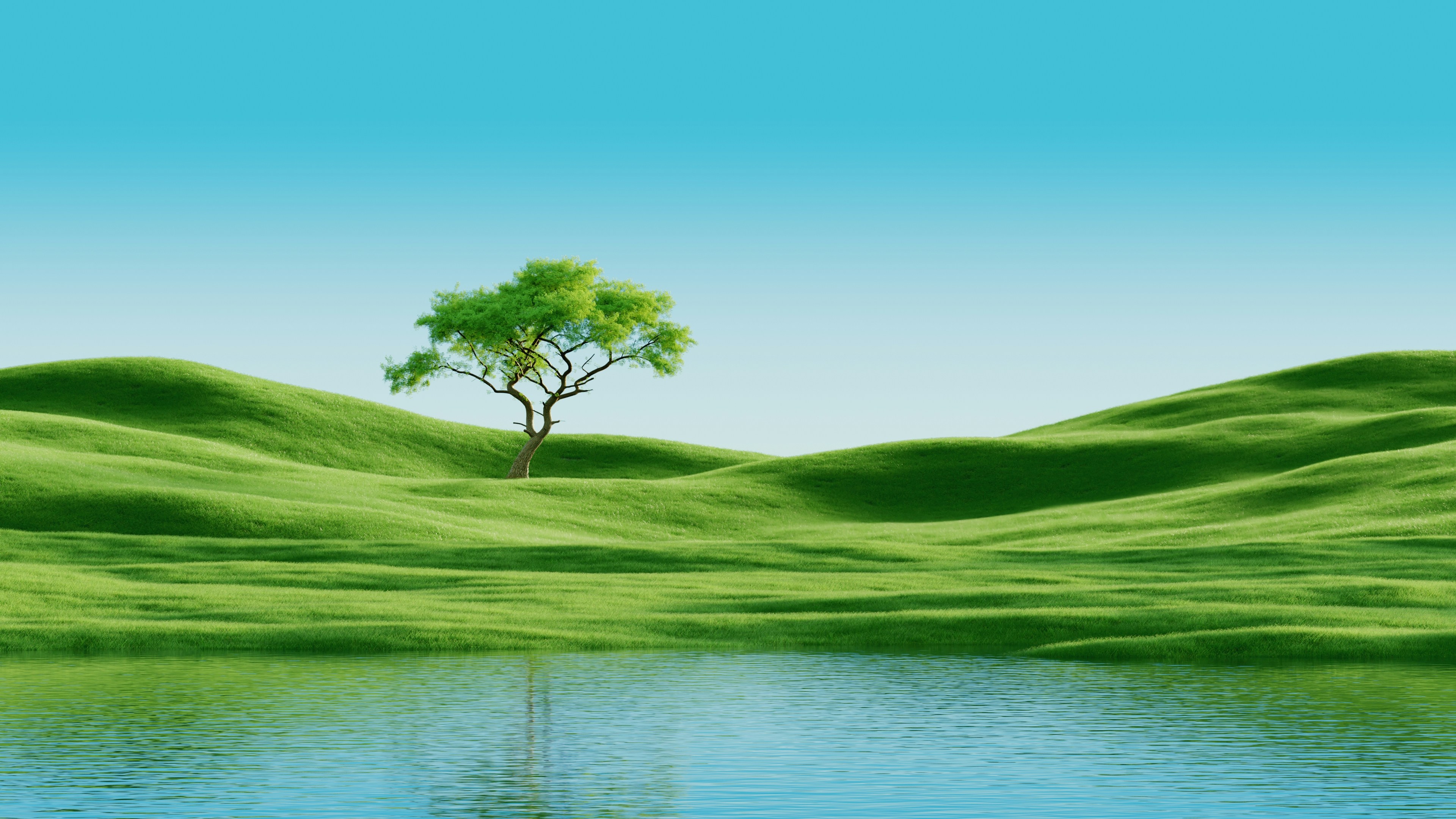 A lone tree stands on a green hill above water.