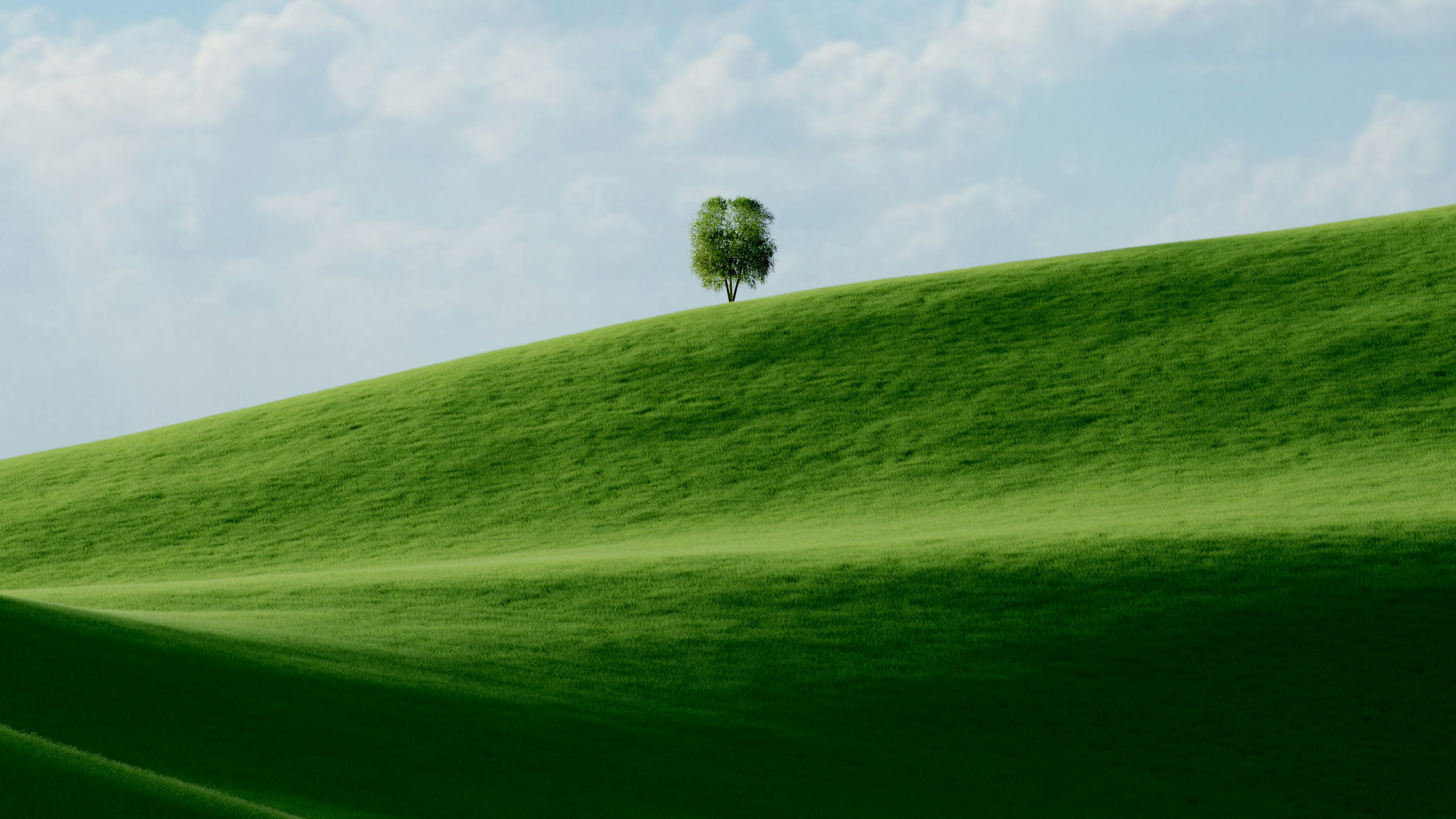 A single tree stands on a rolling green hill.
