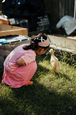 Girl in pink dress curiously observing a duckling duckling.