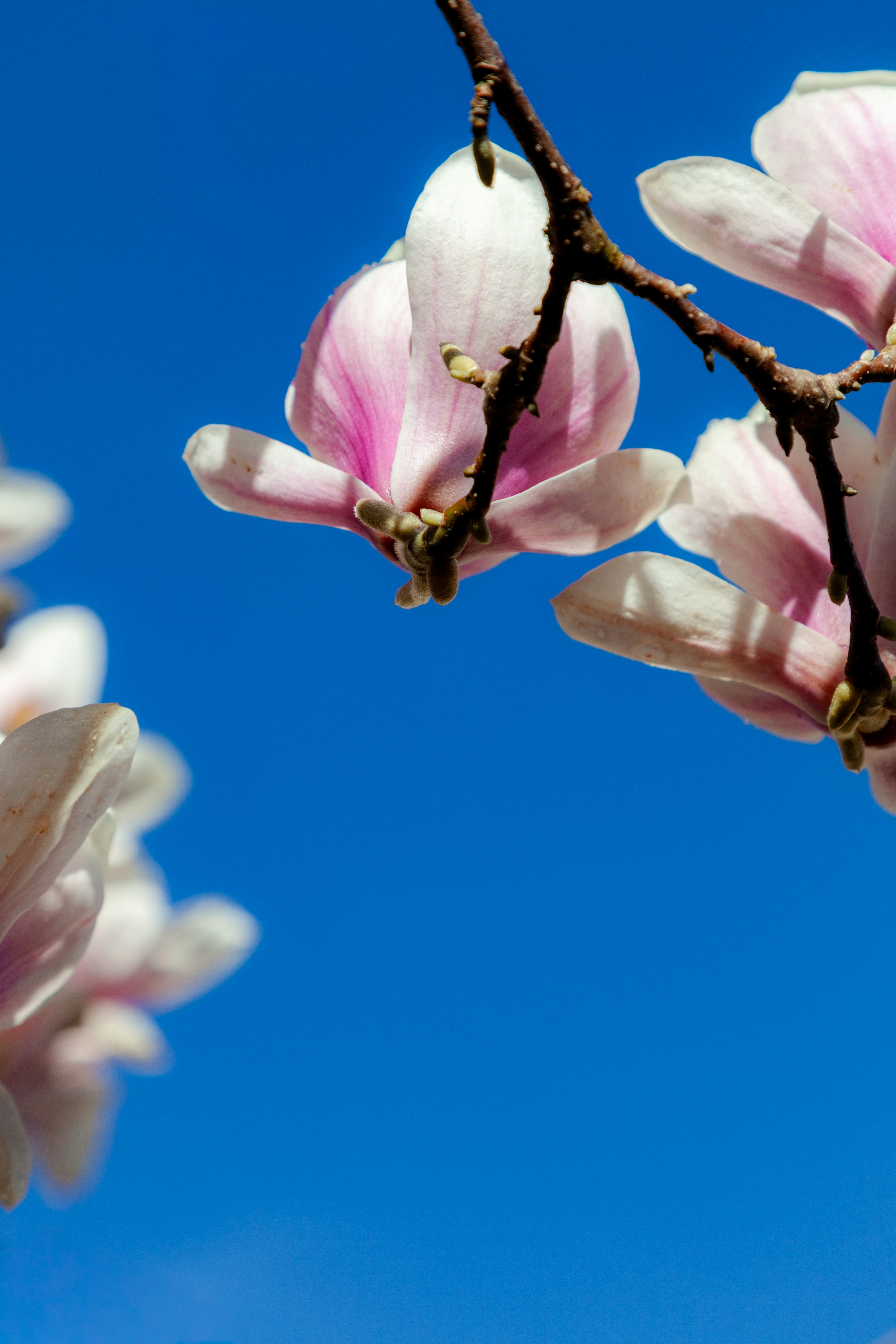 Photo by campfire_guy