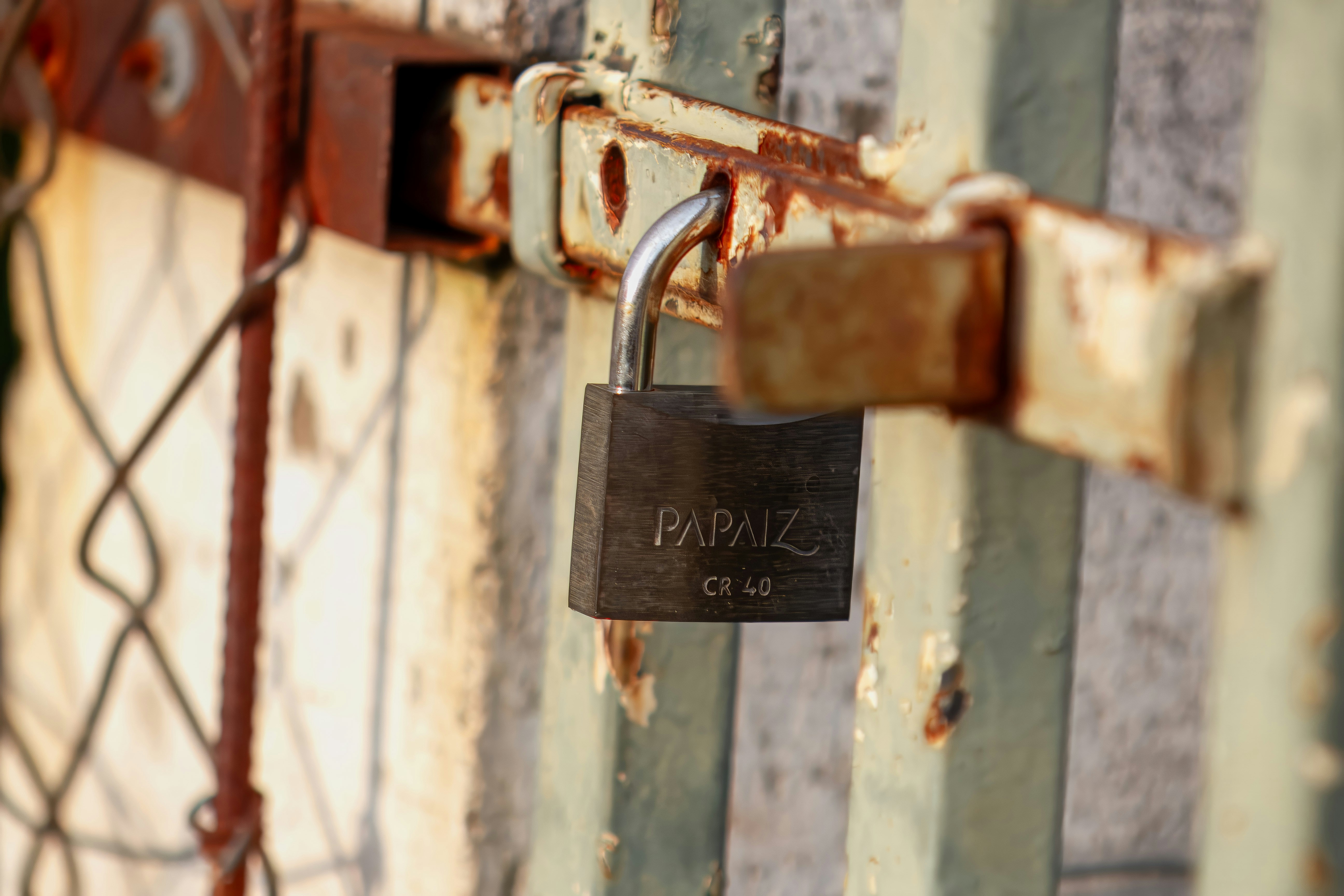 Photo by albertolung