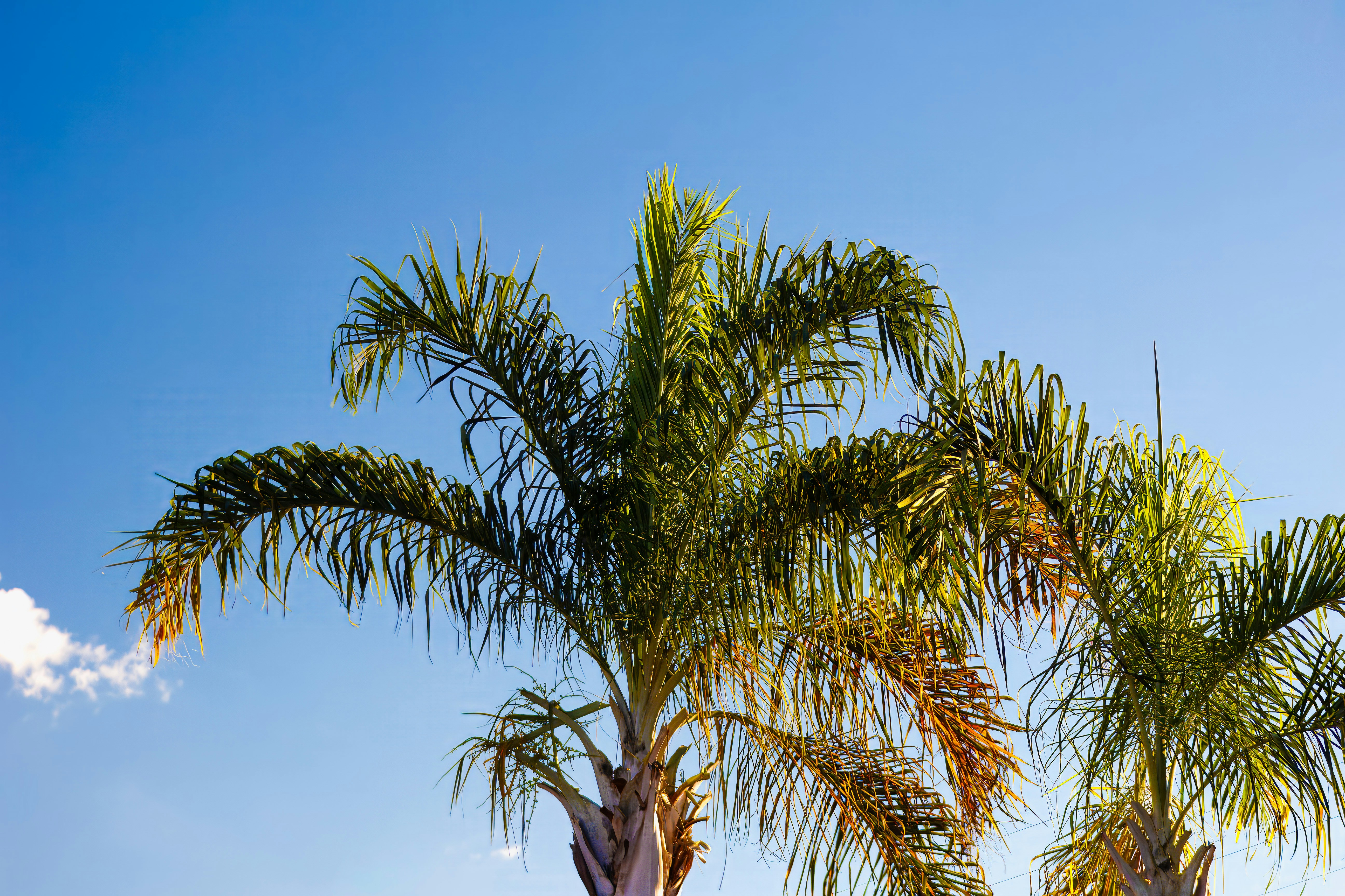 Photo by albertolung