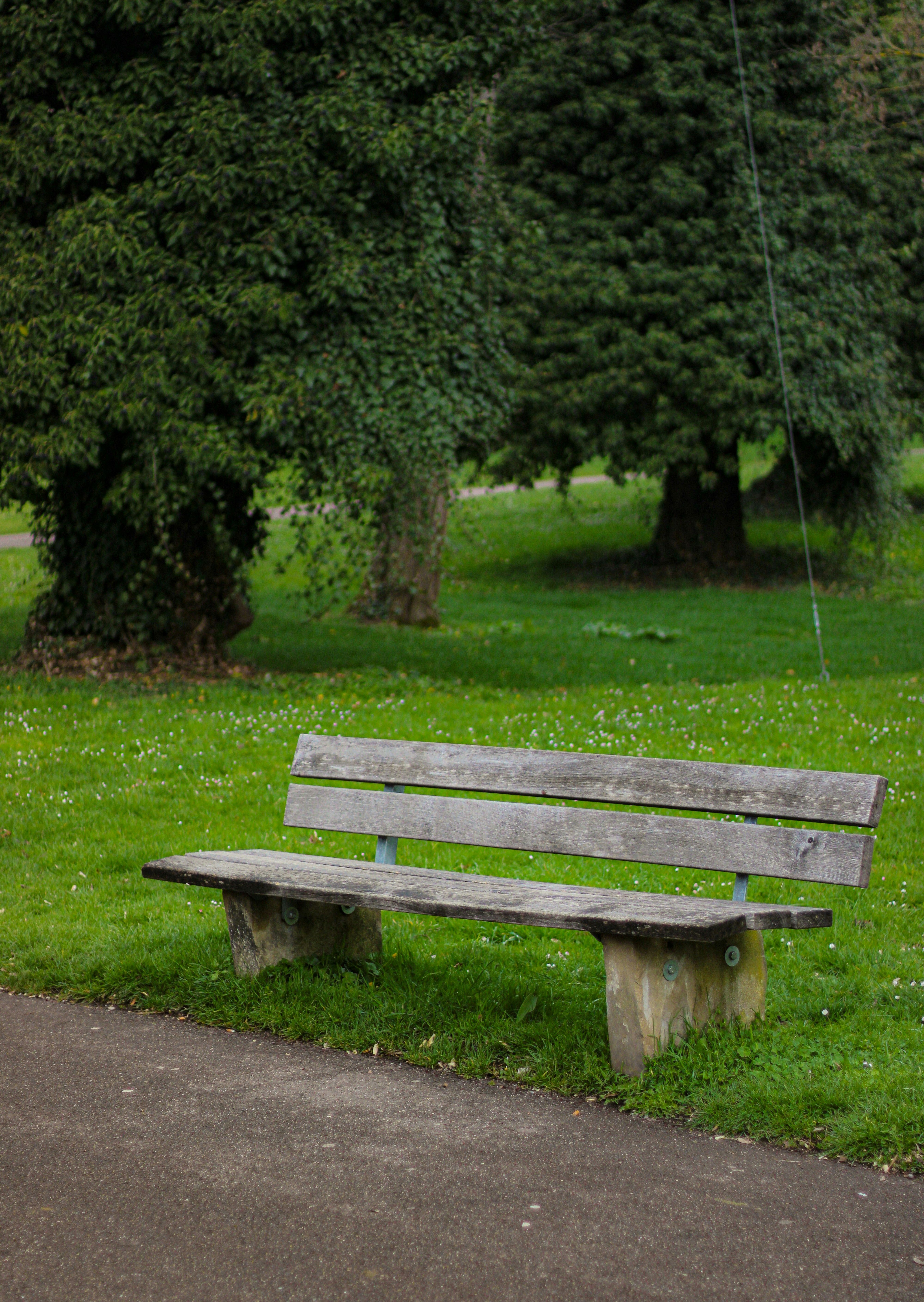 Photo by mohammad_ebesh