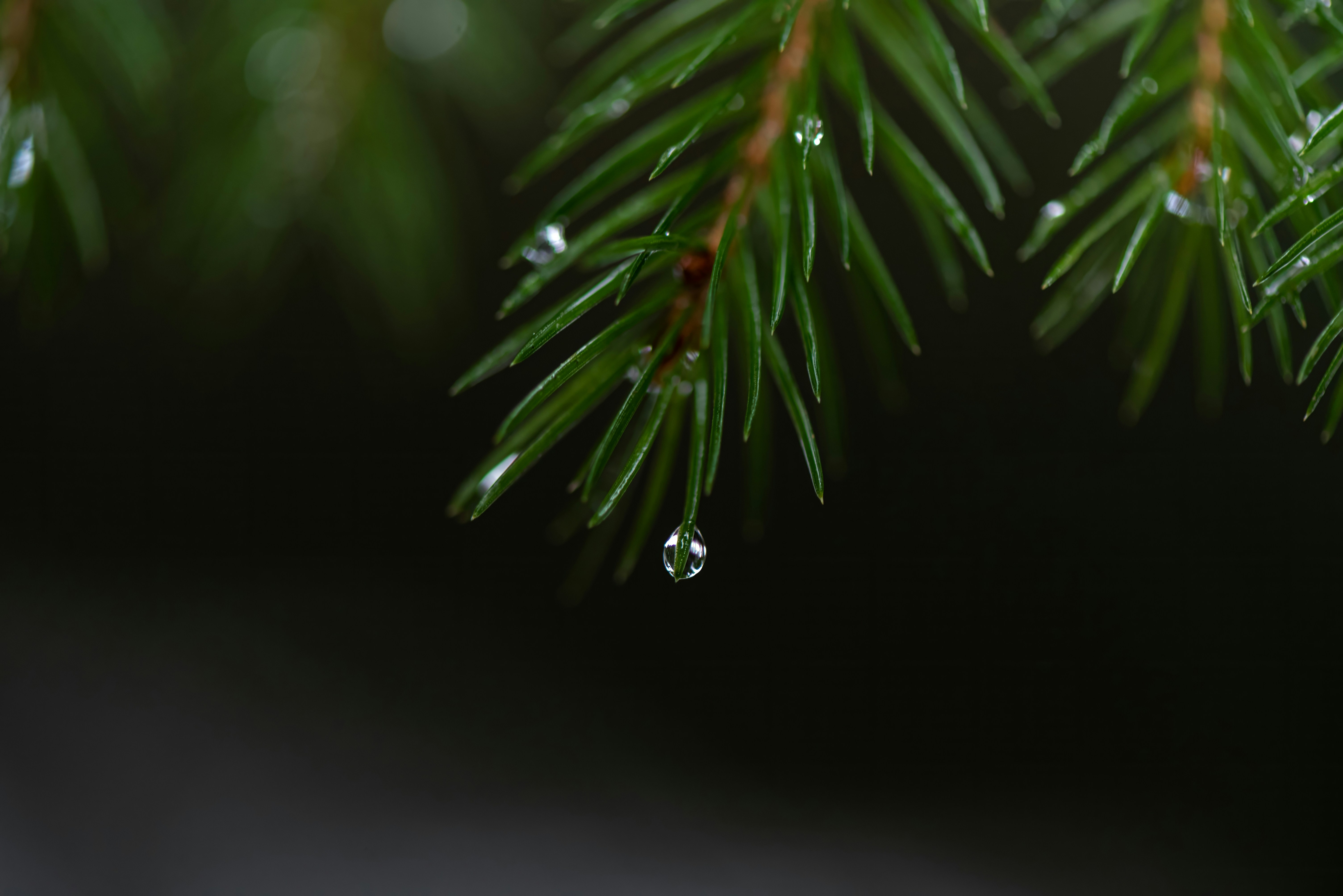 Photo by millionsofpixelsbydragos