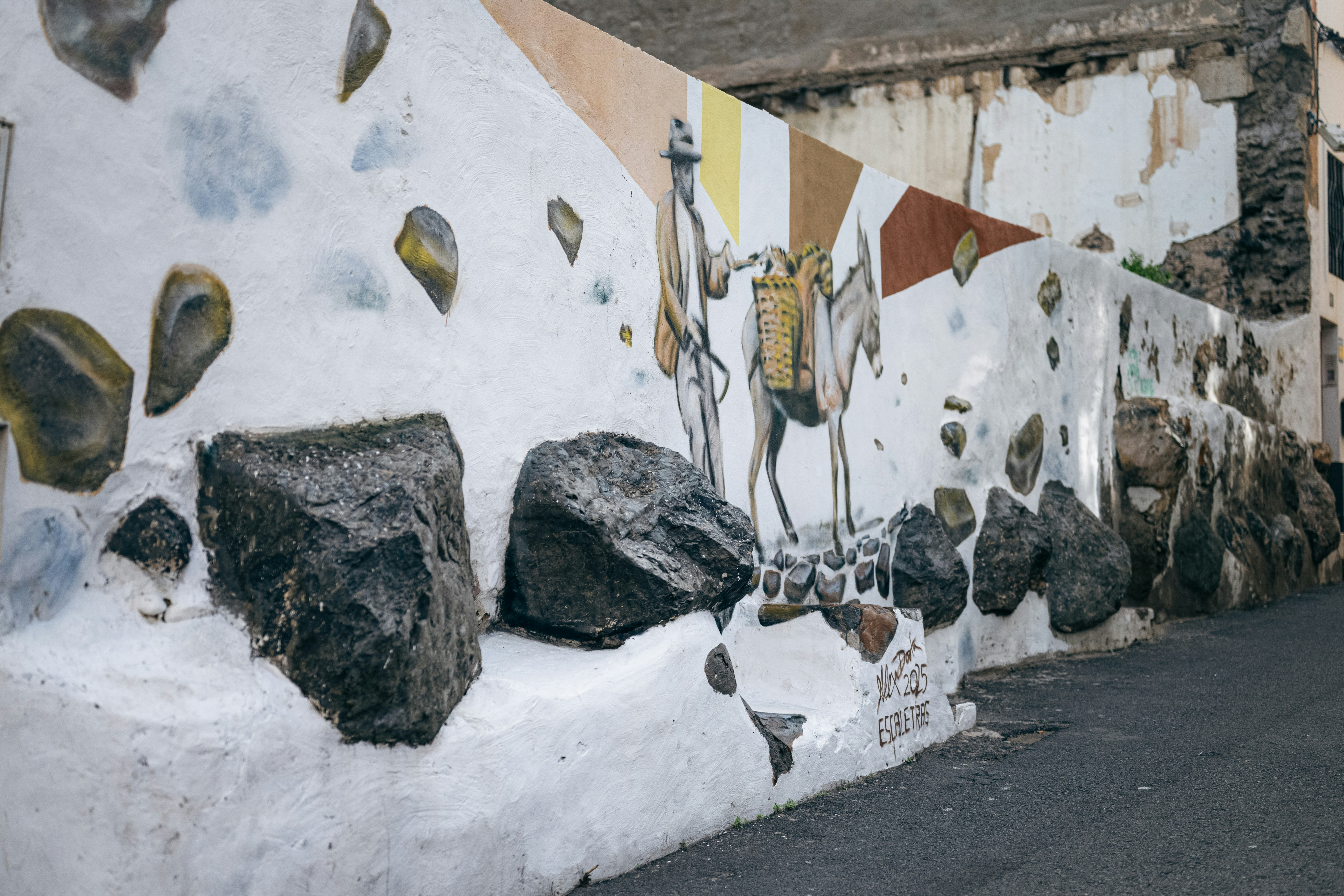 Mural of a camel on a textured white wall