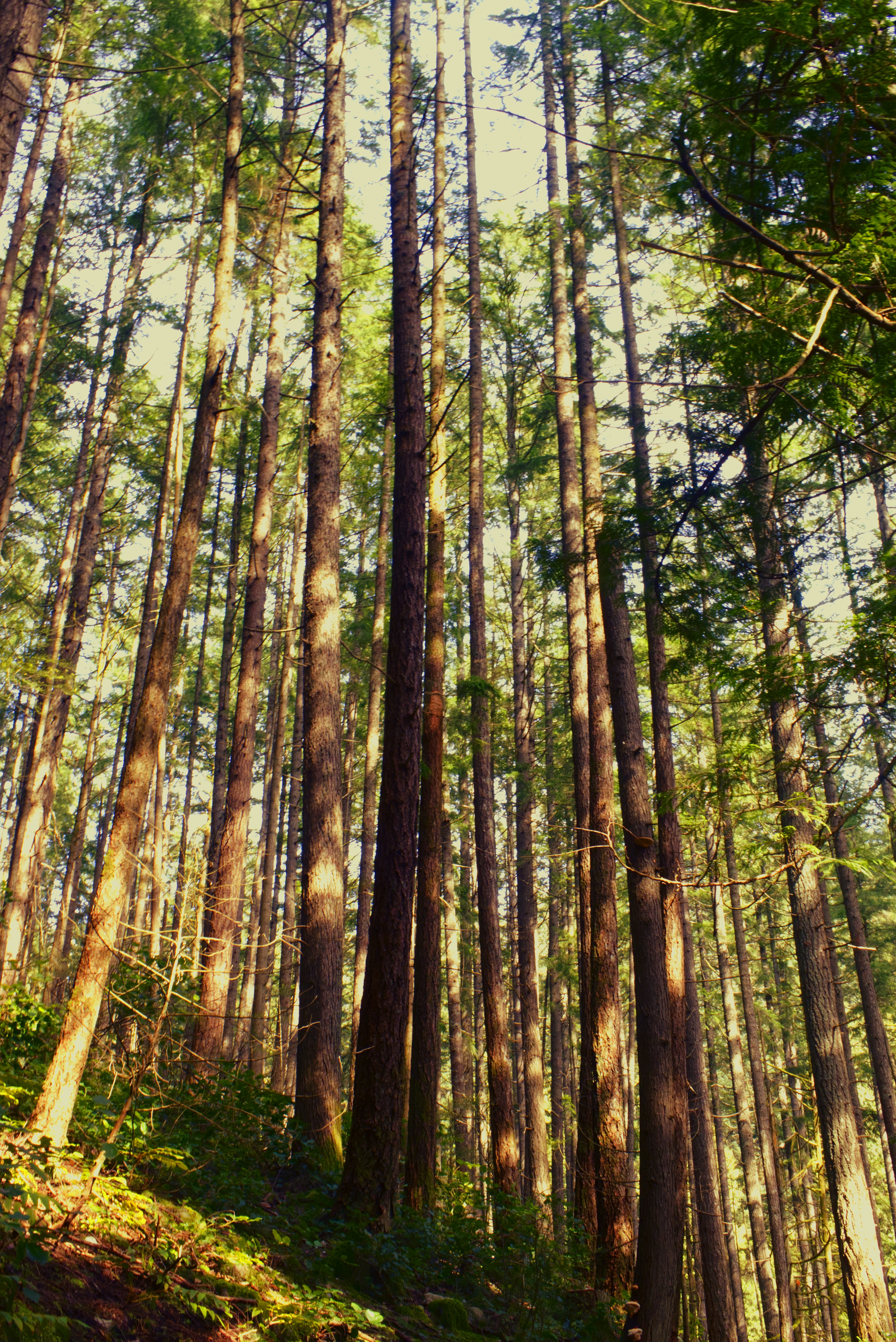 Photo by lavanyaflicks