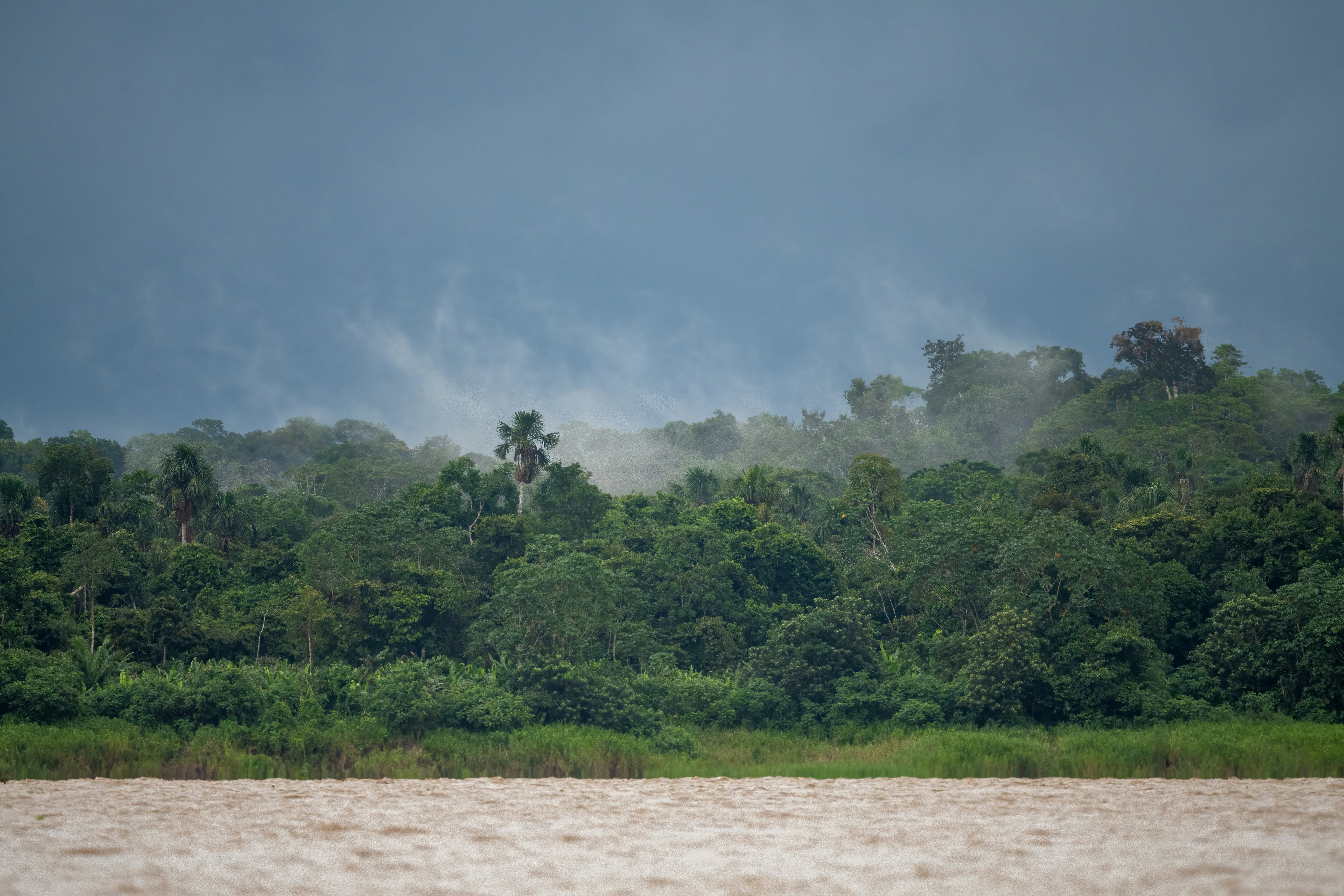 amazon rainforest aerial wallpaper, wallpaper, Essential Gear for Camping in the Tropical Forests of Brazil 2