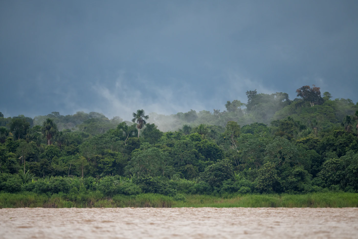 Ein Fluss windet sich durch geschlossenen Amazonas-Regenwald
