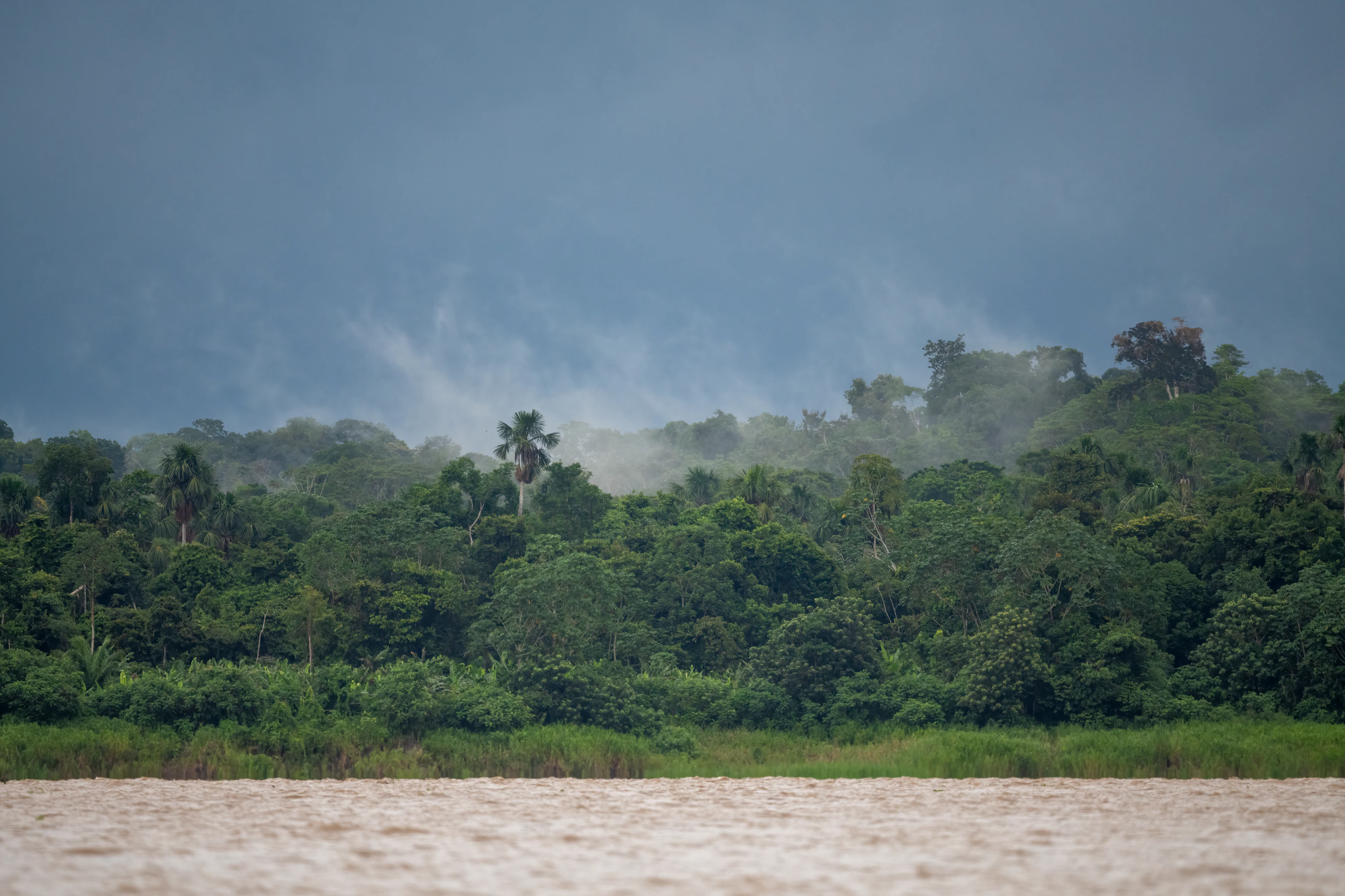 Misty Amazon rainforest canopy seen from the river in Peru