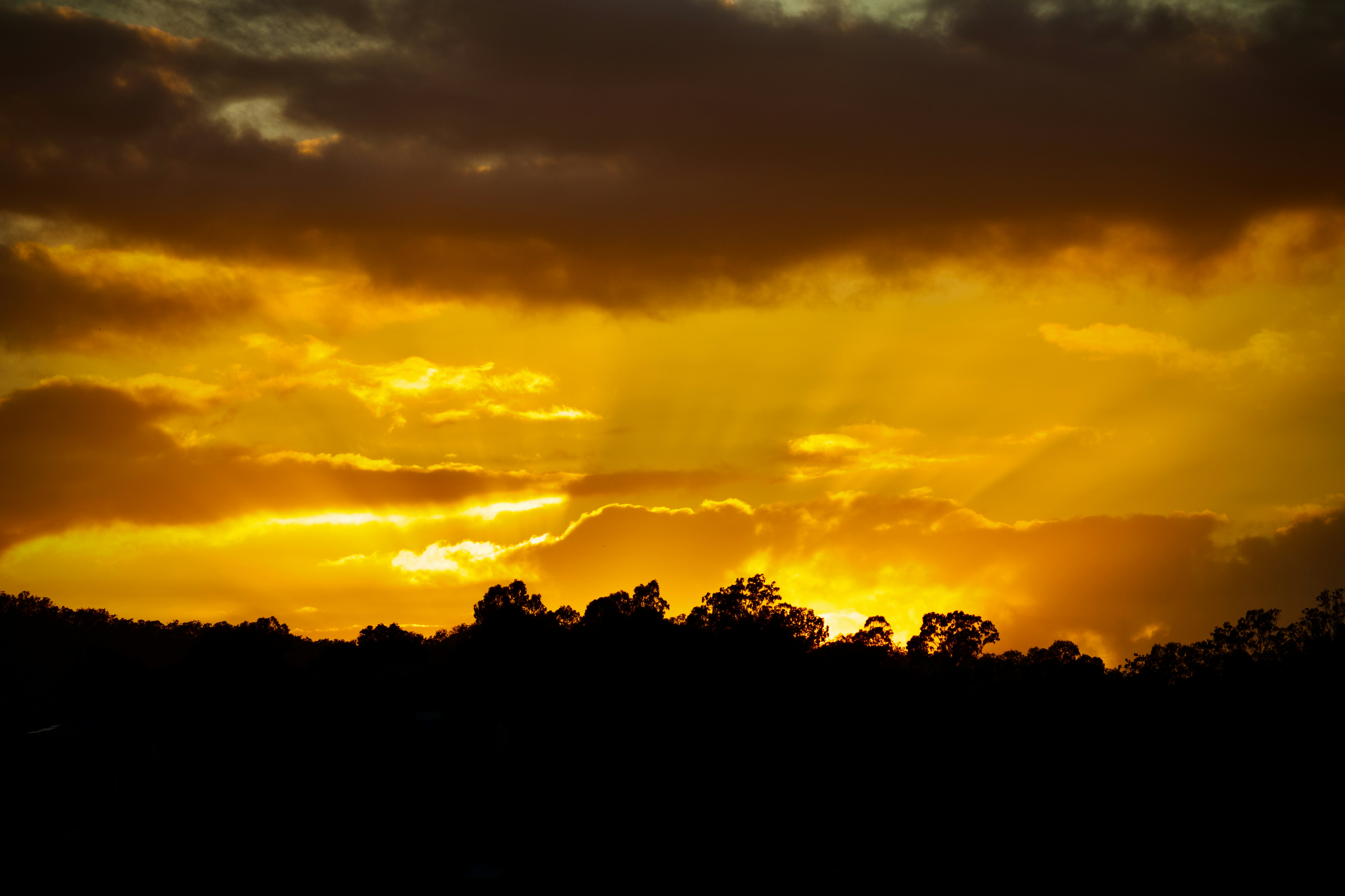 Photo by the_afternoon_photographer