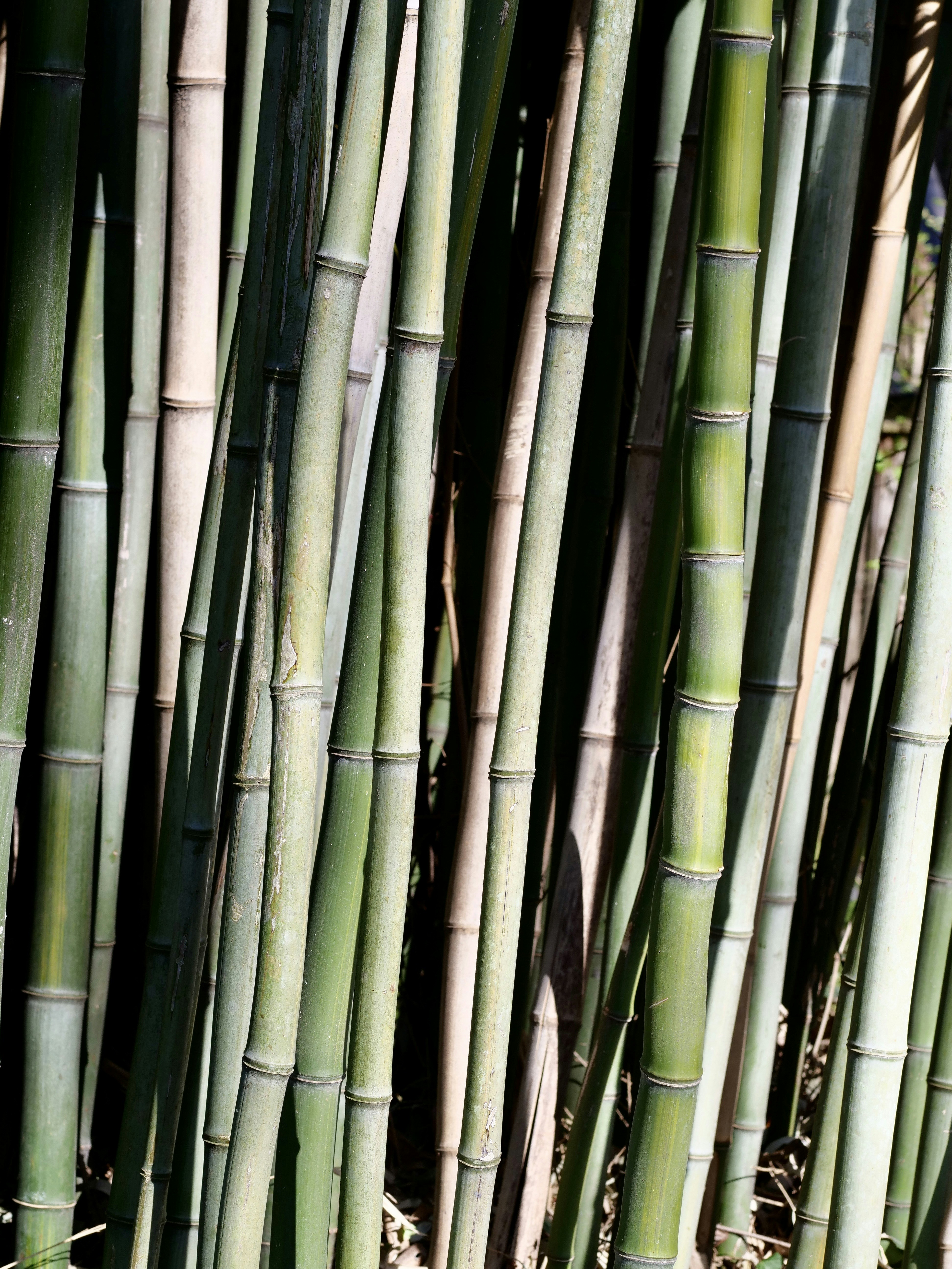 Photo by sschusterphotoart