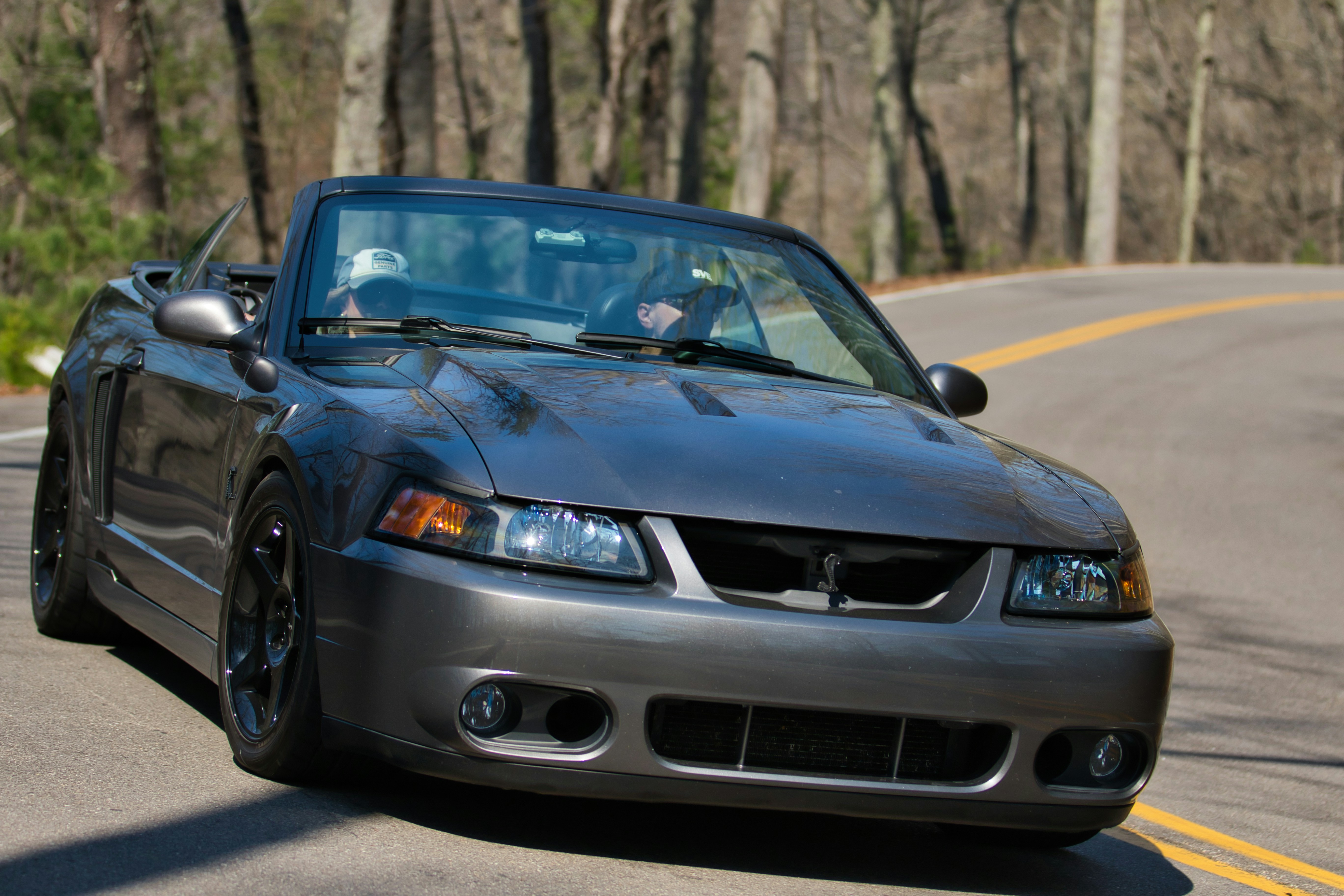 A grey convertible mustang driving on a winding road