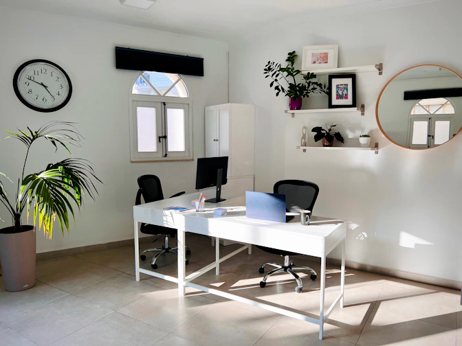 Modern office with two desks and plants