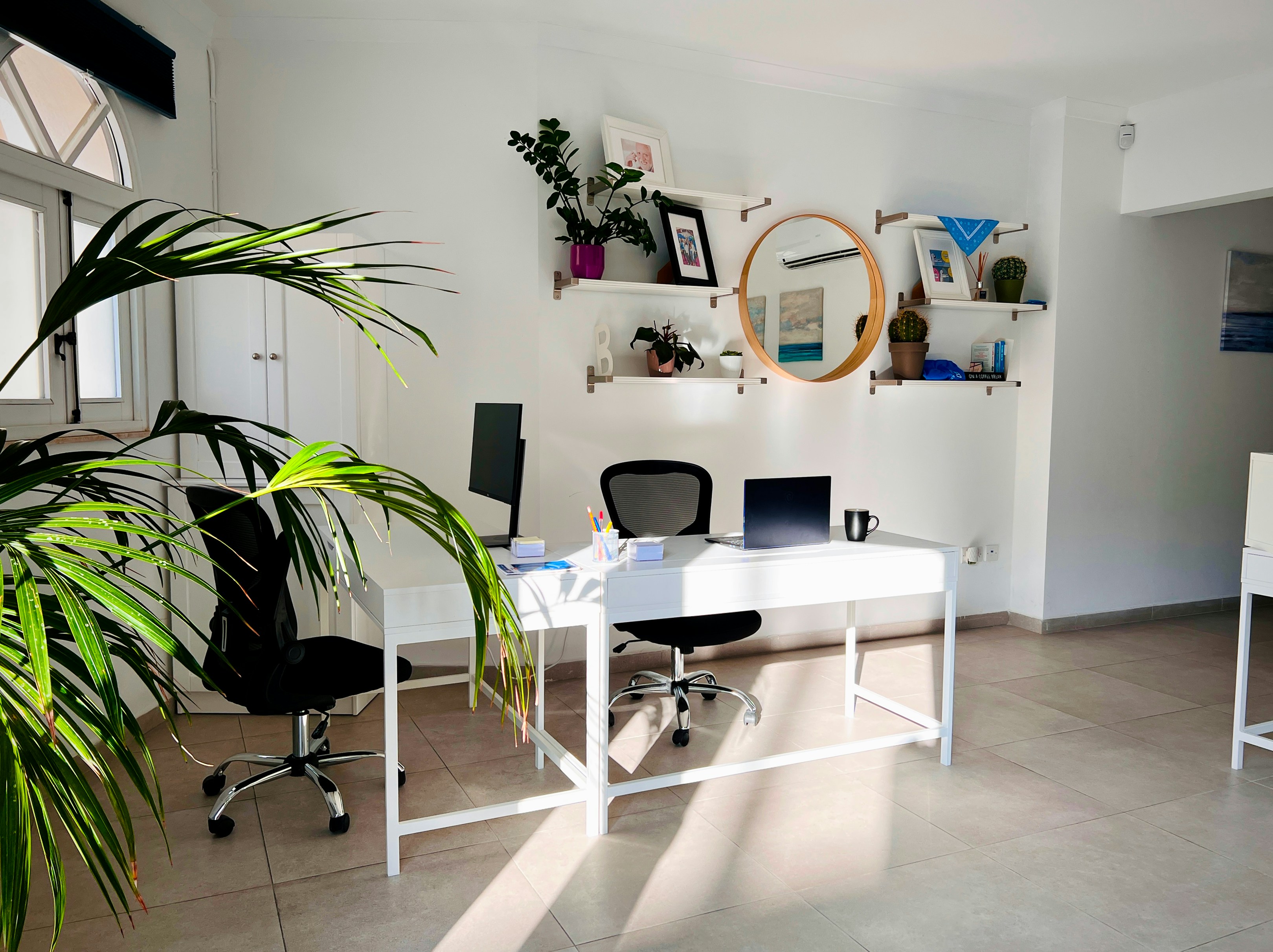 Modern office space with plants and desk