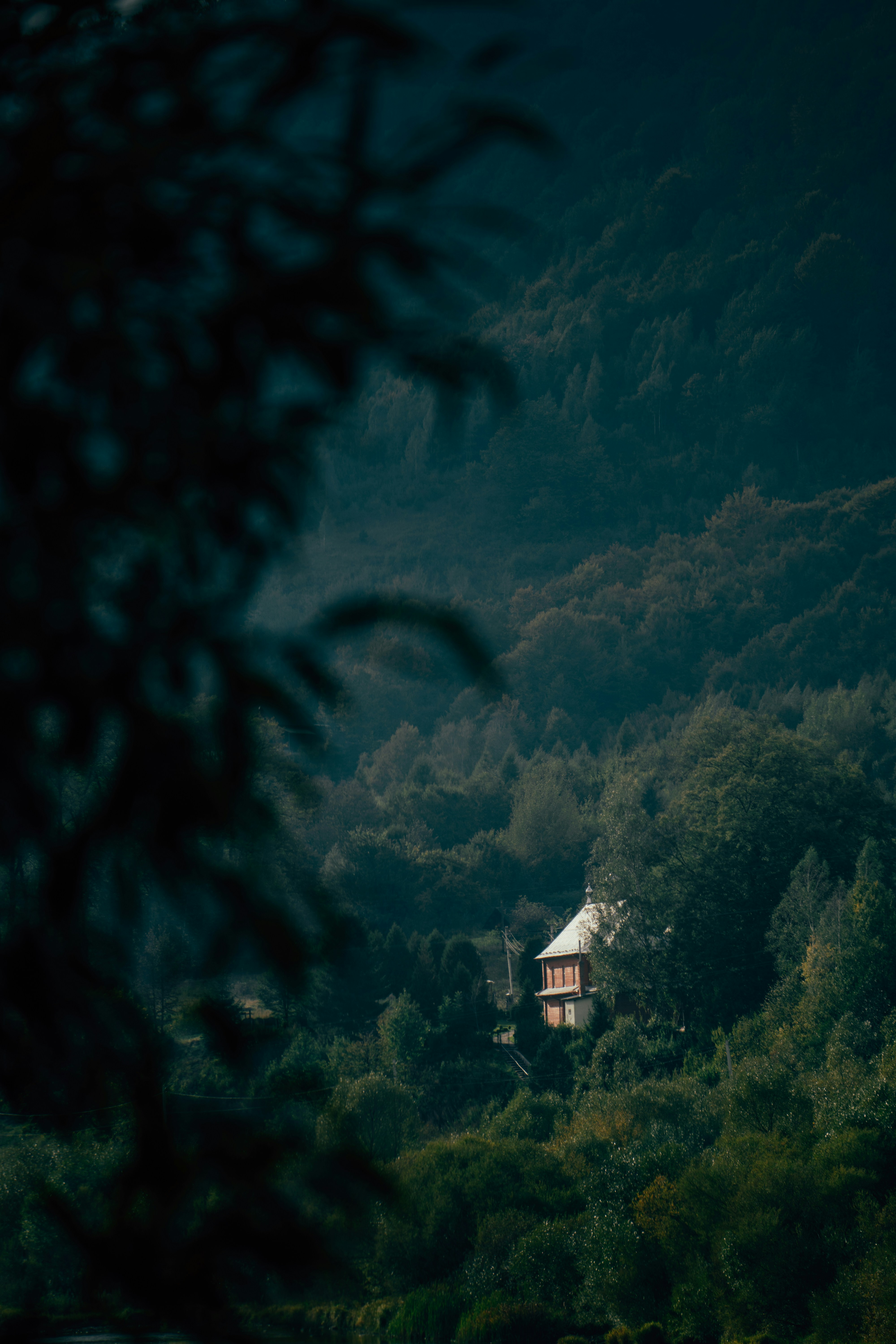 Photo by nazarstanko3