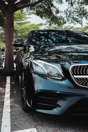 A sleek black car parked under trees