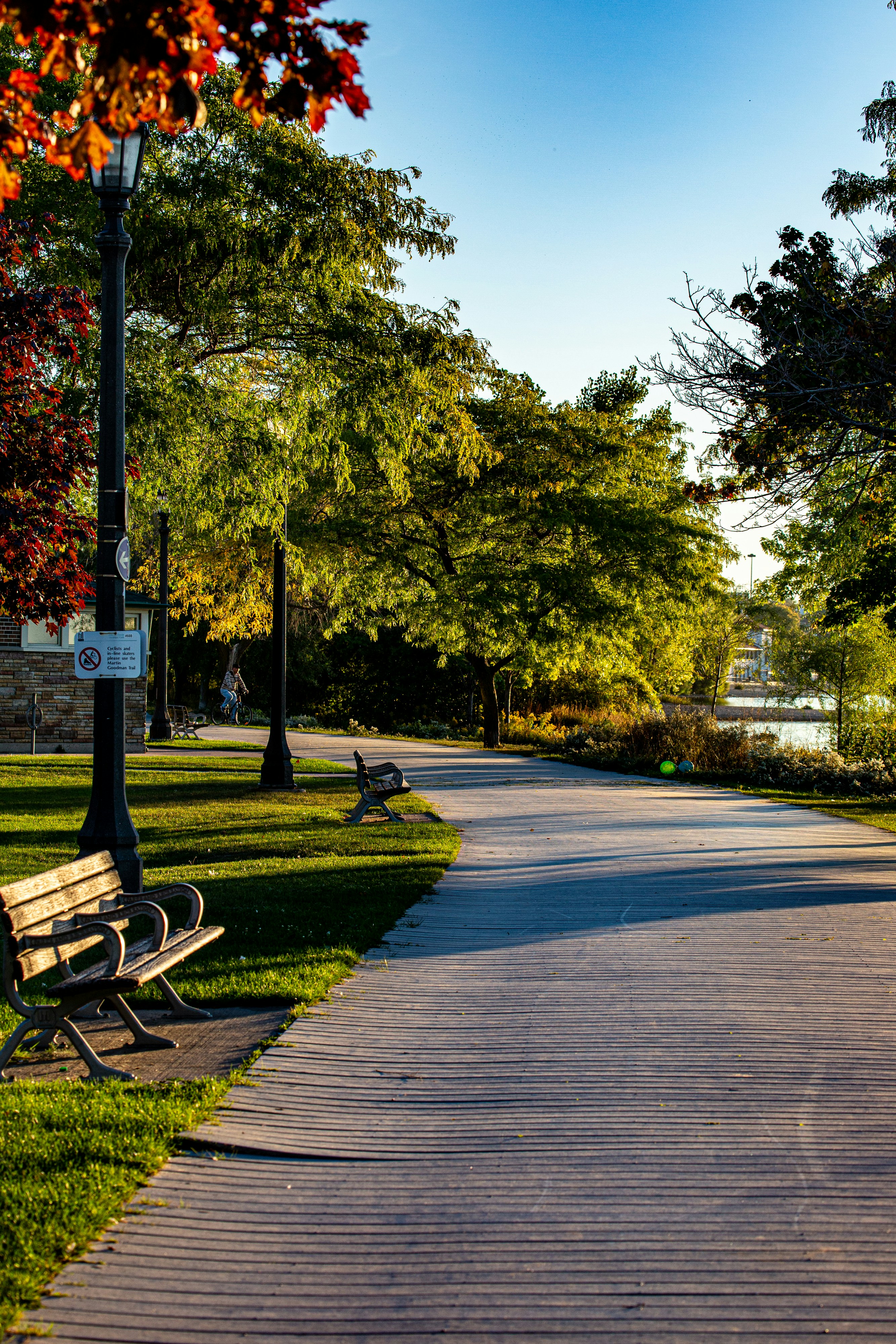 A peaceful park path with benches and trees at sunset.