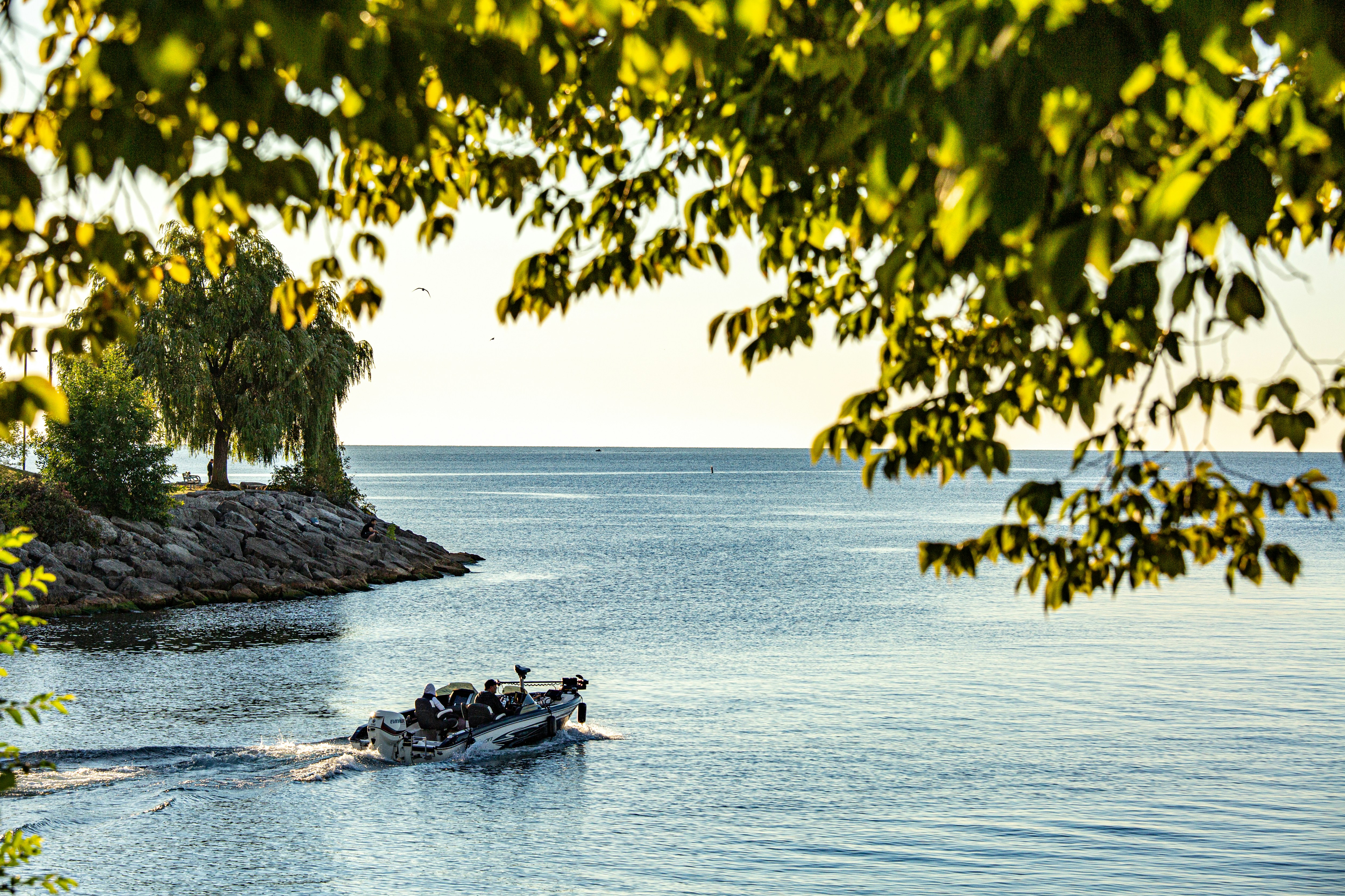 A boat travels across a calm blue lake near shore.