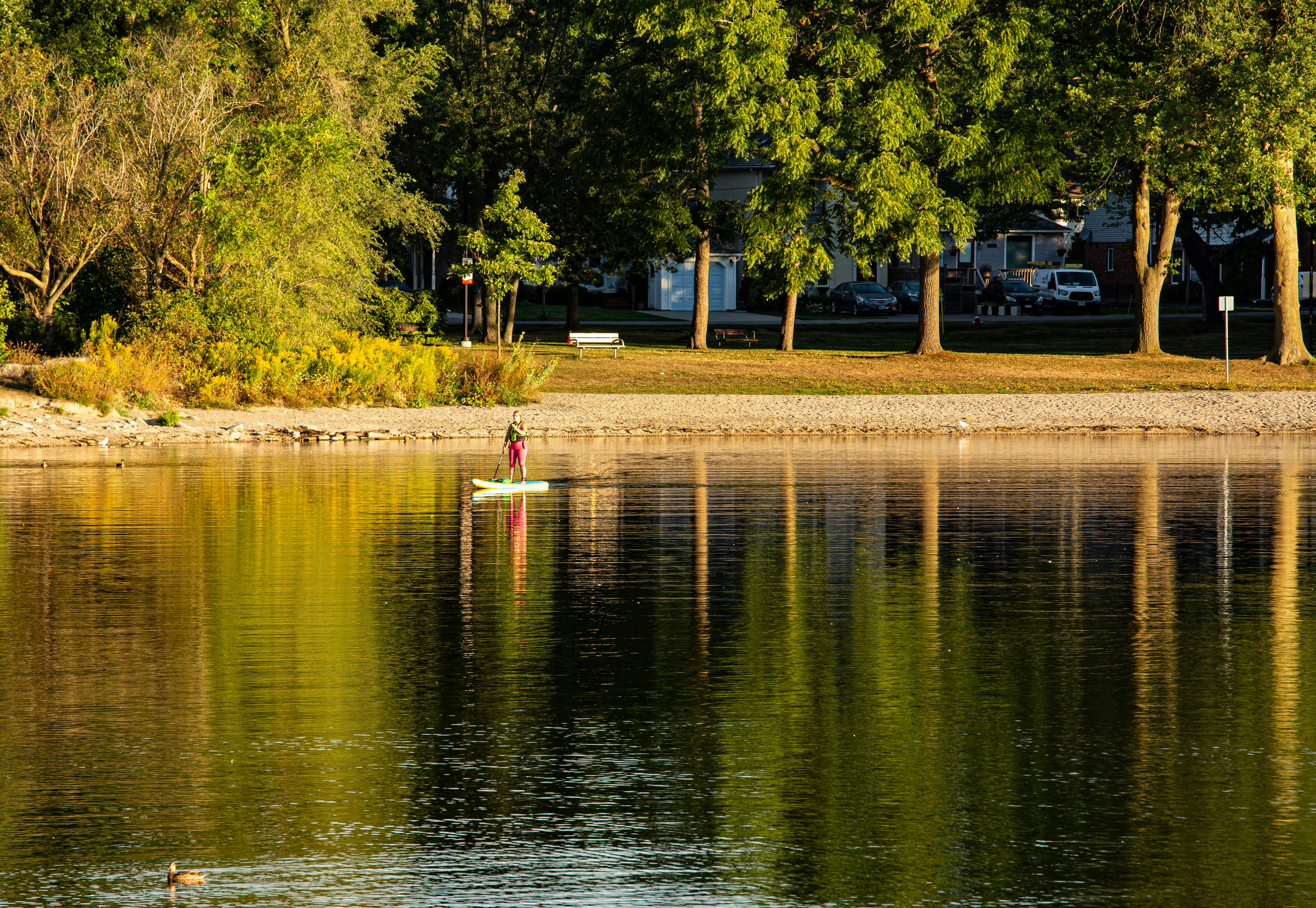 Person paddleboarding on a calm lake with trees.