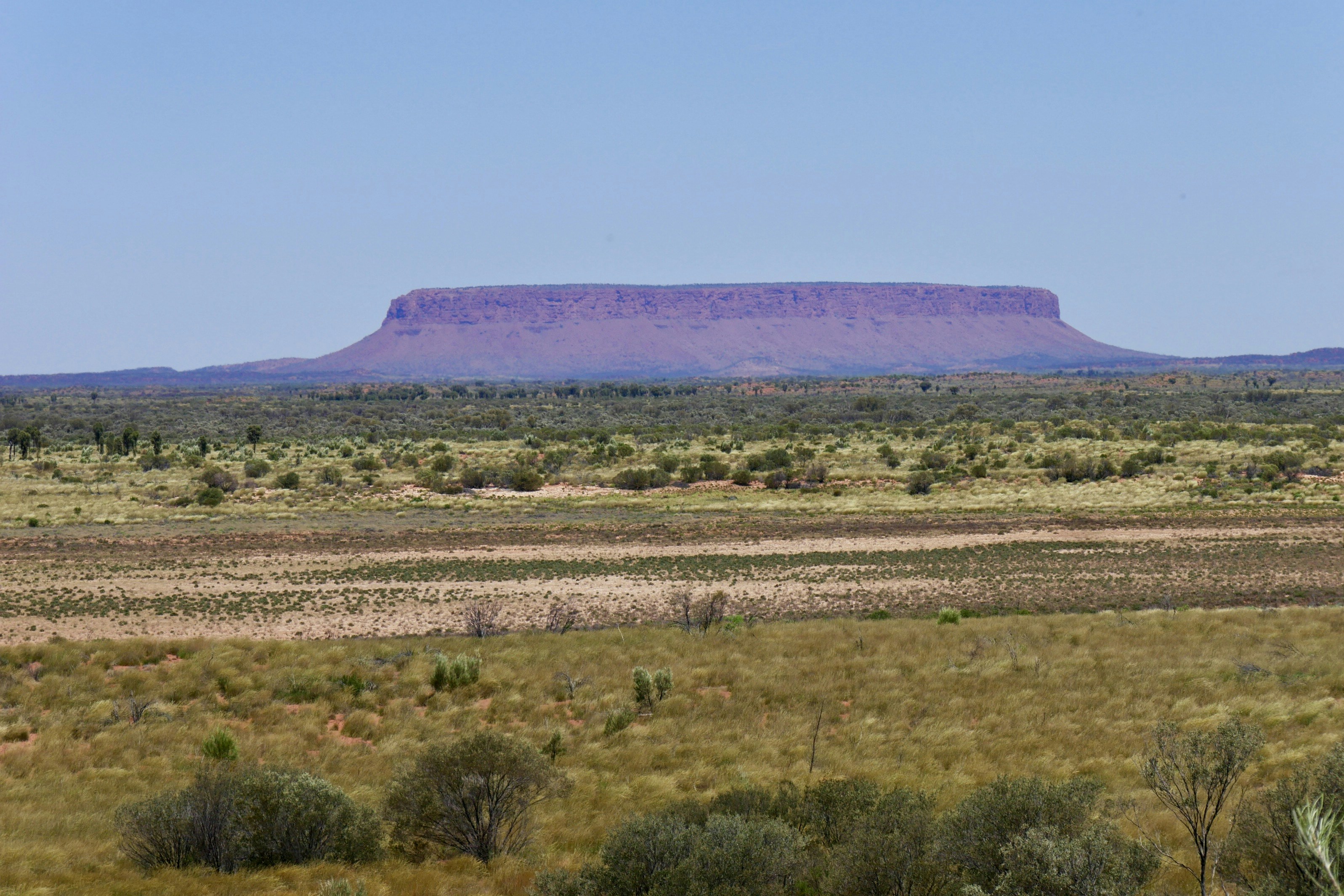 The Park at Flat Rock