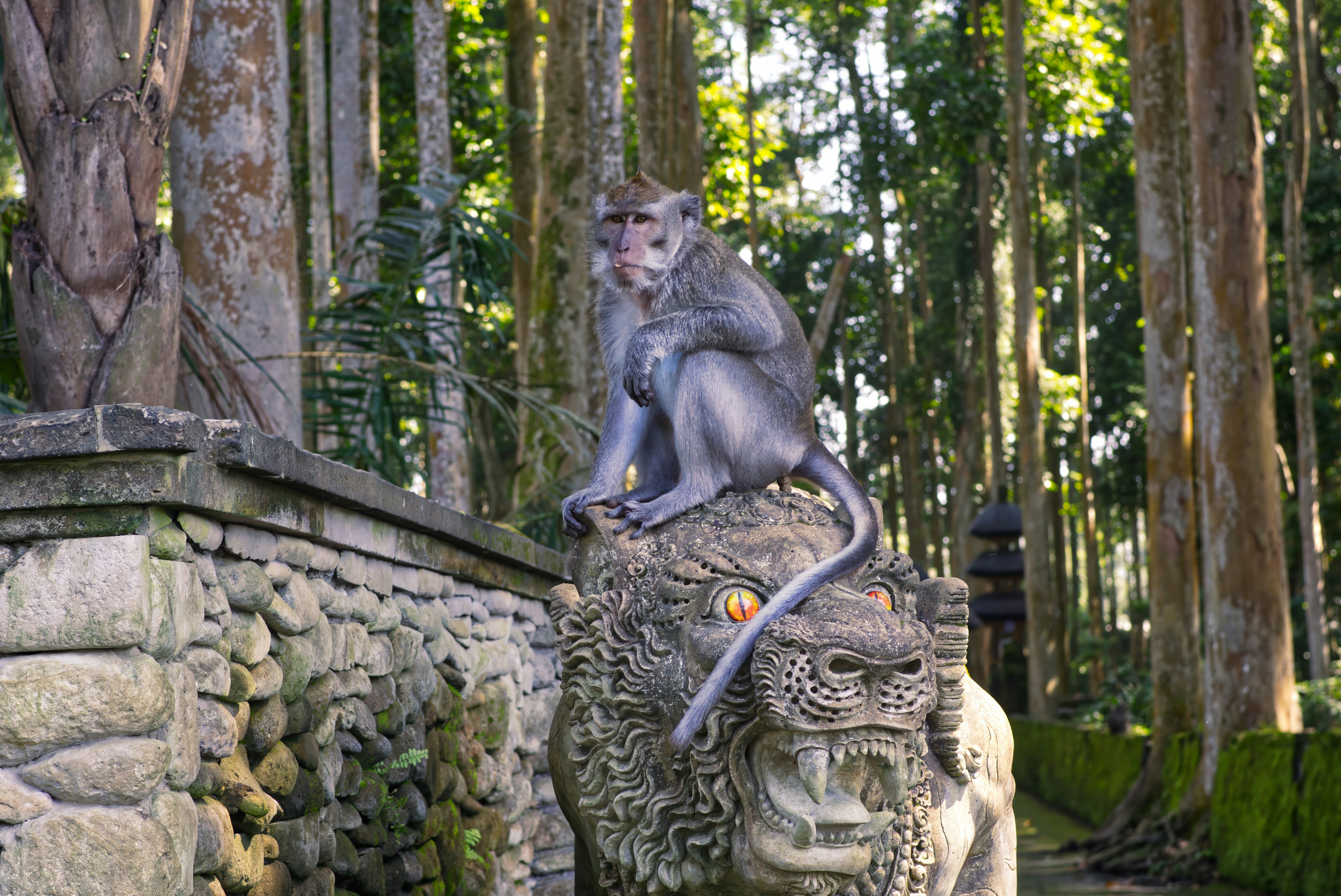 サルが森の石彫りの上に座っている。