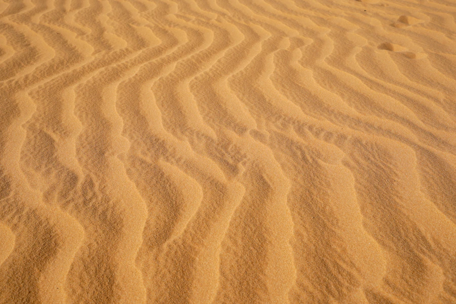 Rippled sand dunes in a desert landscape