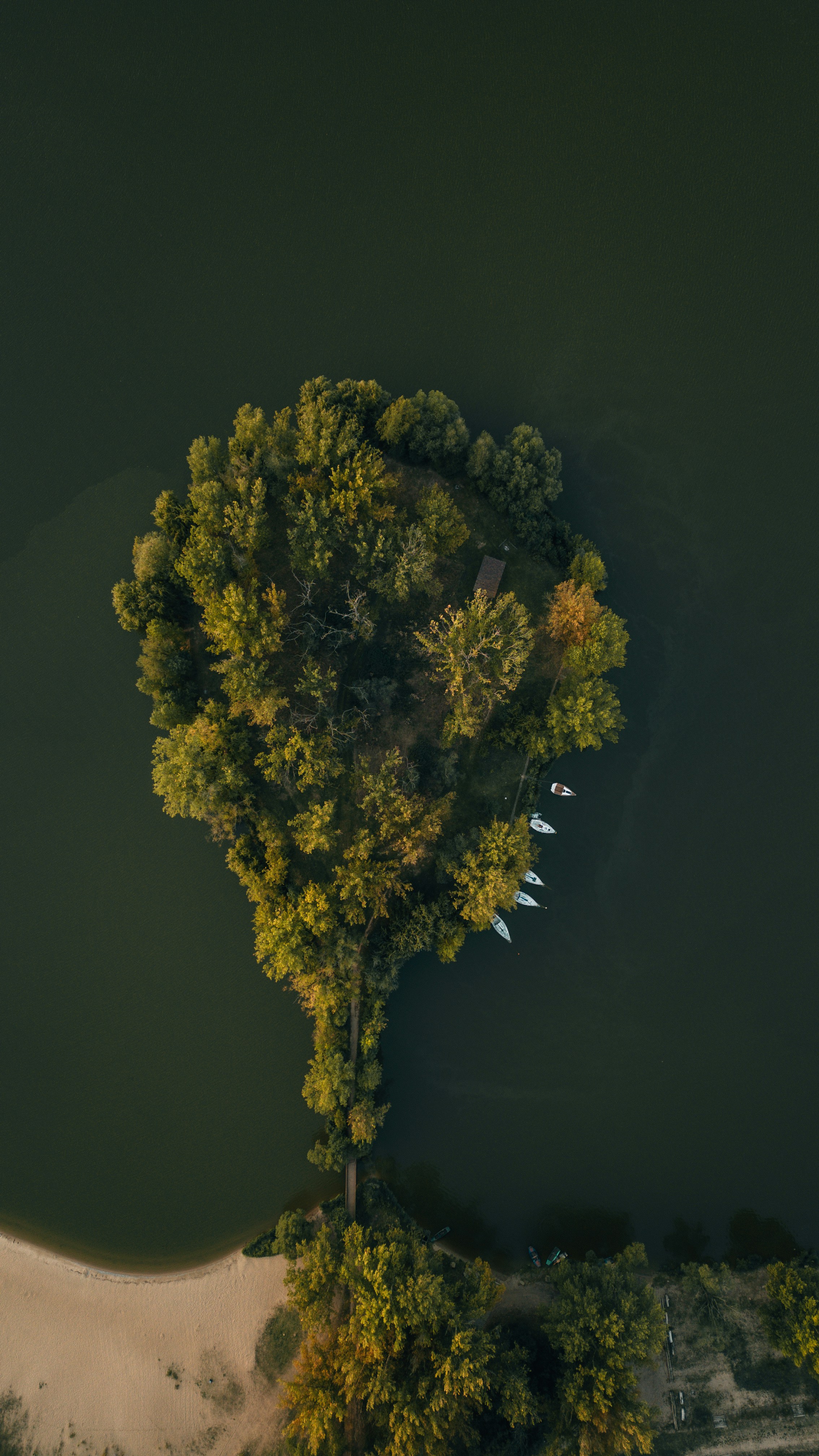 Aerial view of a tree-covered island with boats docked