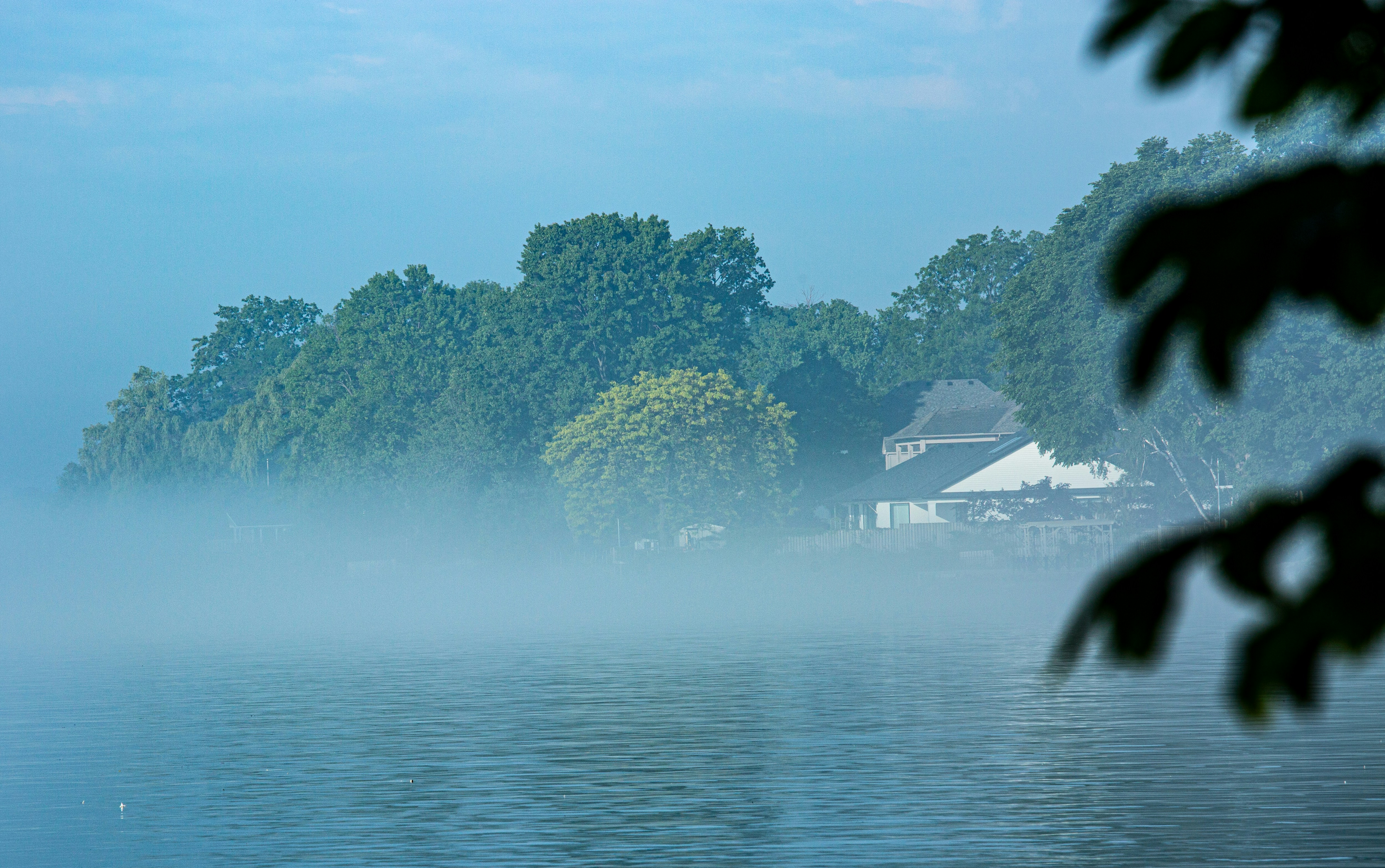Misty morning over a calm lake with trees and house.