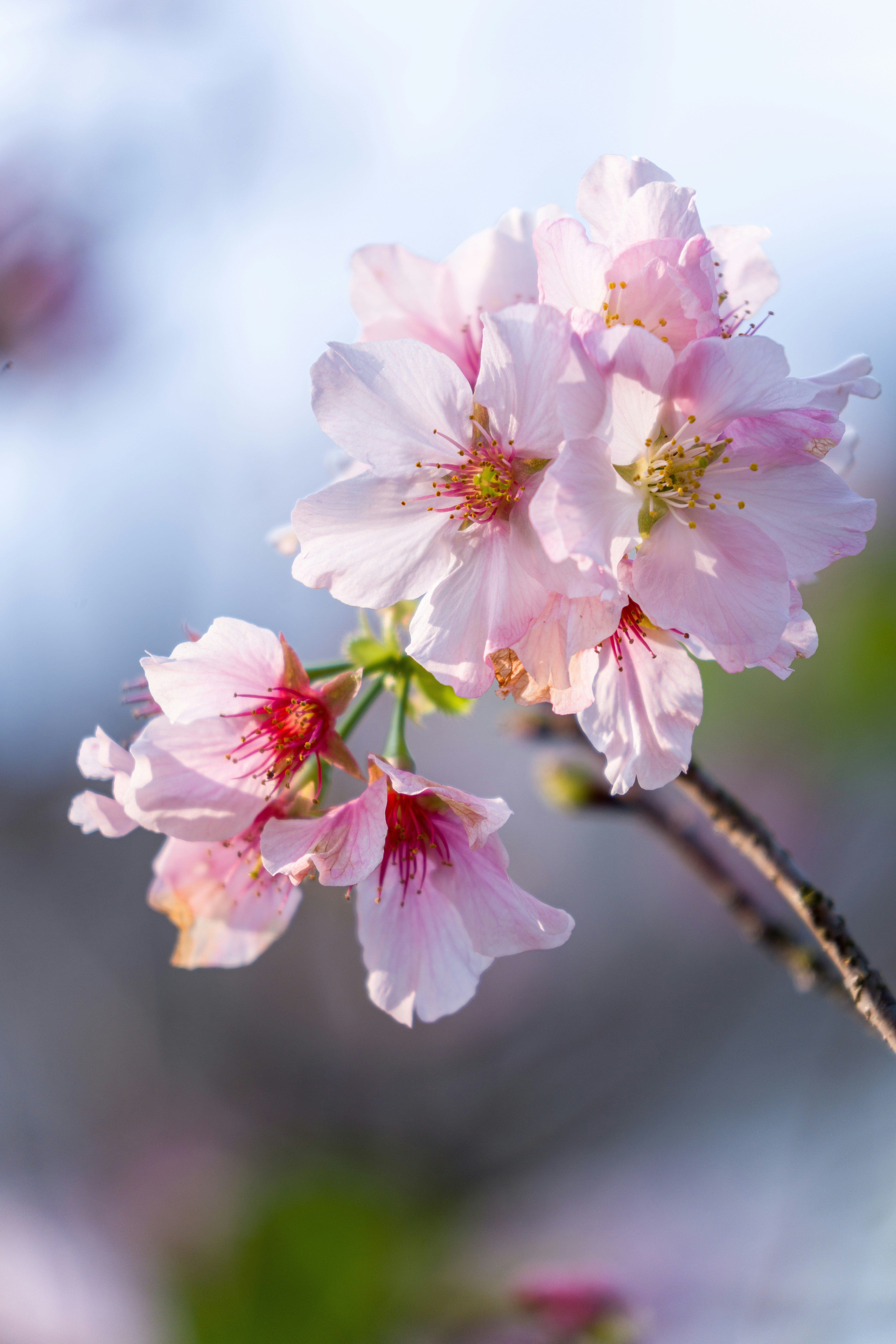 Photo by winstonchen