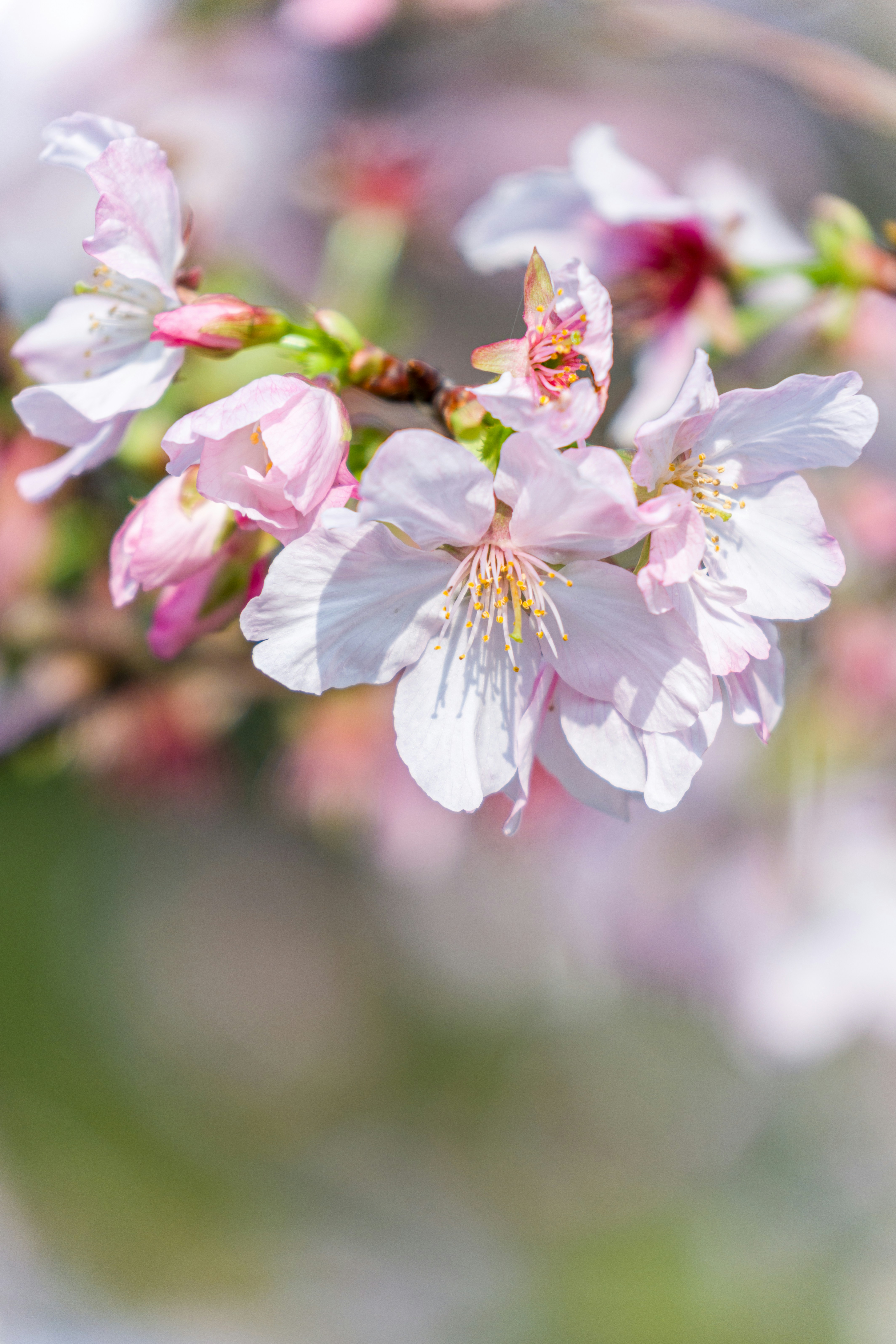 Photo by winstonchen